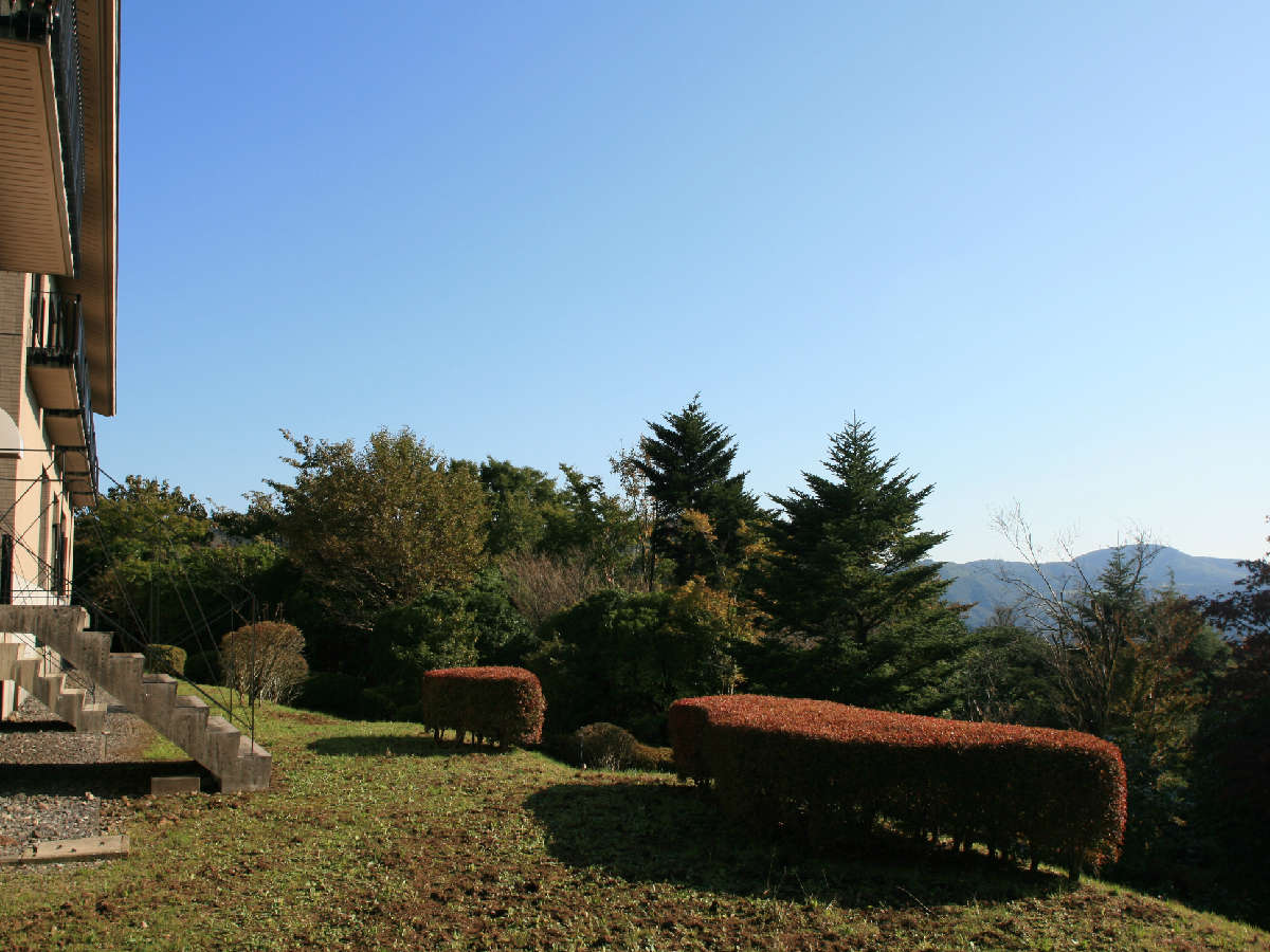 ��̐ƎR�X�̗΂ɂƂ��Ă��߂����h�ł��i���납��̕��i�j