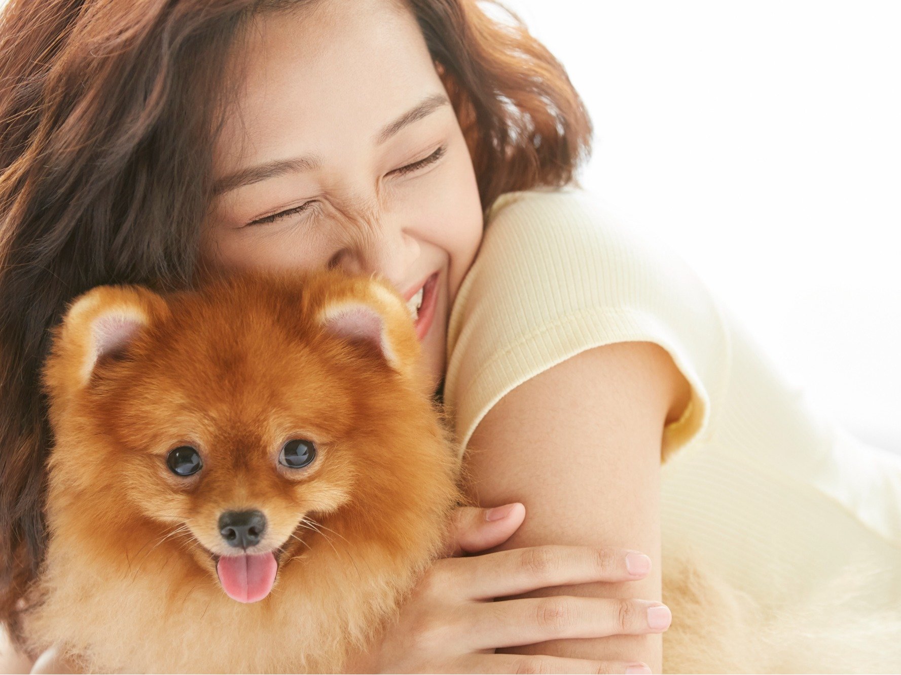 �y�b�g���C���[�W��