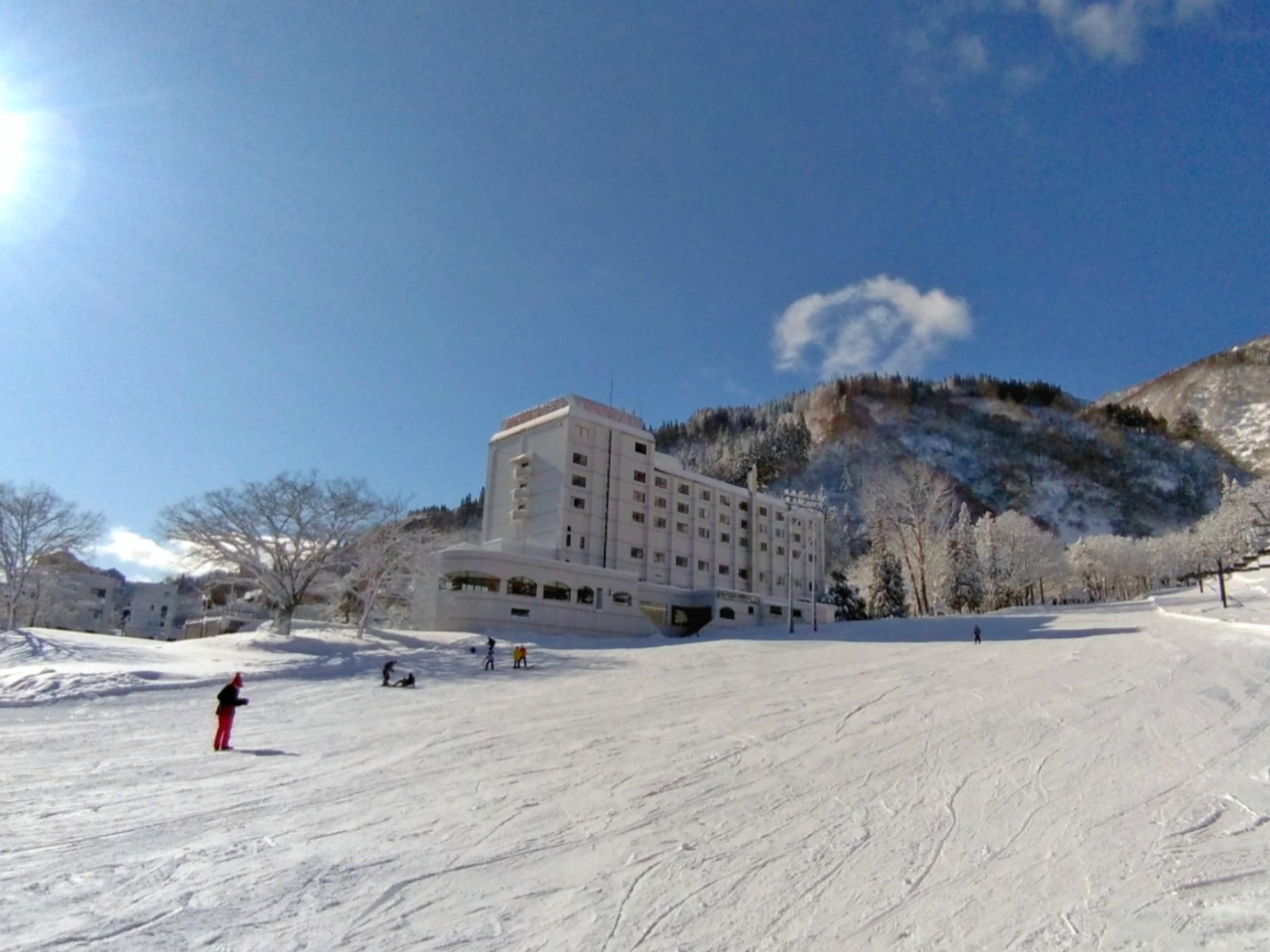 �Q�����f0���u���򍂌��X�L�[��t�@�~���[�R�[�X�v�����I�u���򉷐�䂫�����уp�[�N�v250���k��5��