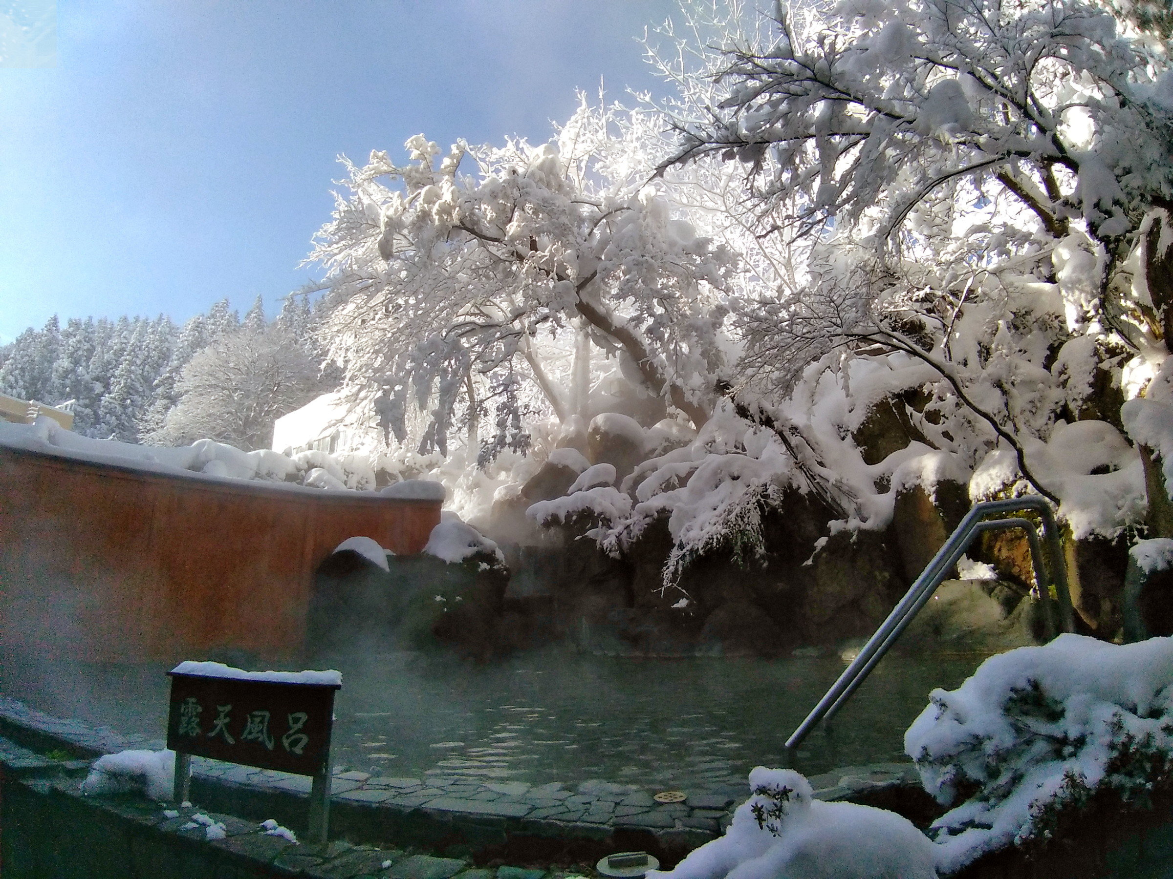 12�����{�`3�����{�͐ጩ�I�V���C�����y���݂��������܂��i�j���I�V���C�j