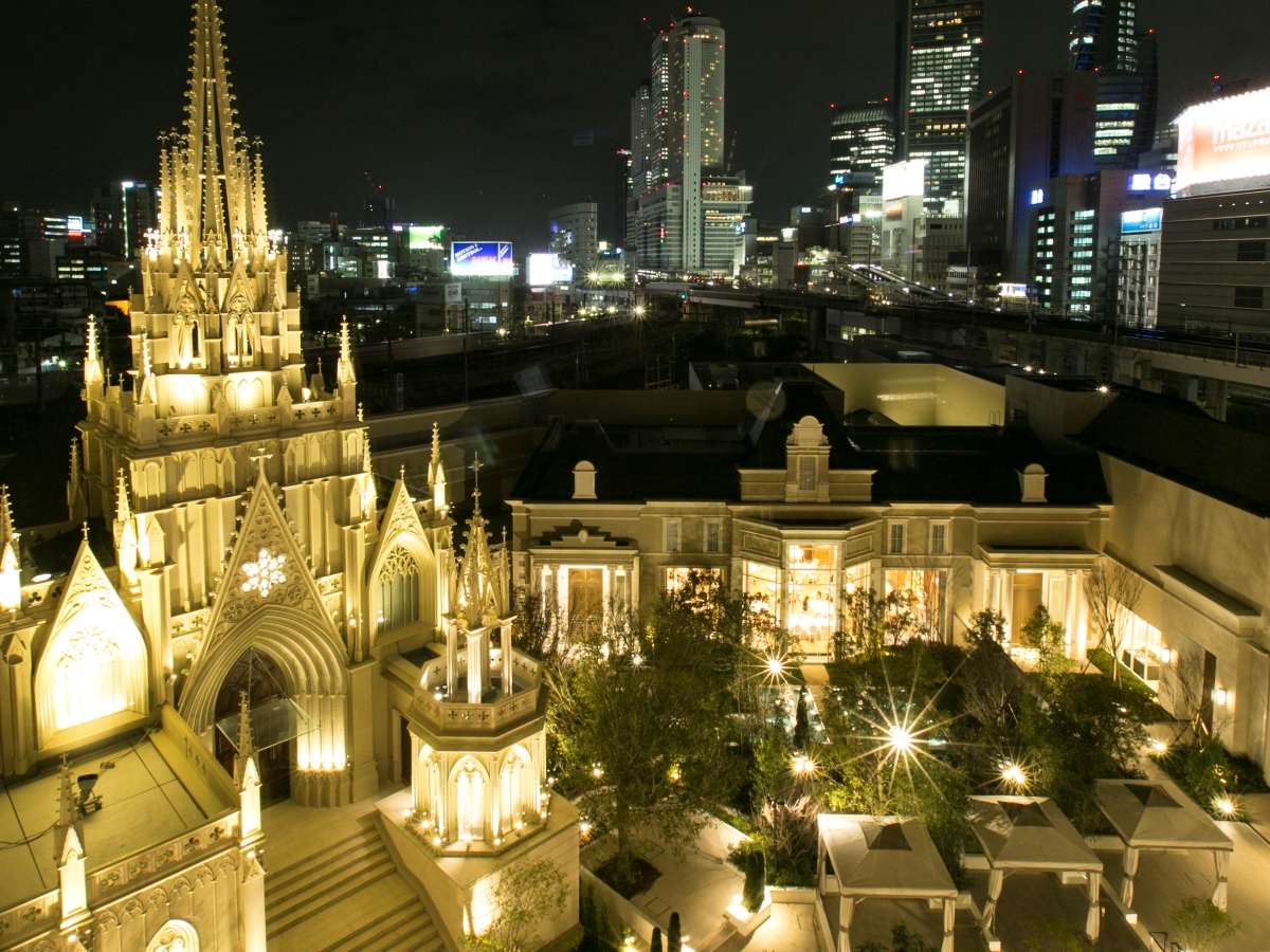 �y�f���b�N�X�c�C�������W�f���X�c�C������̌i�ρi���j�z�`���y���r���[