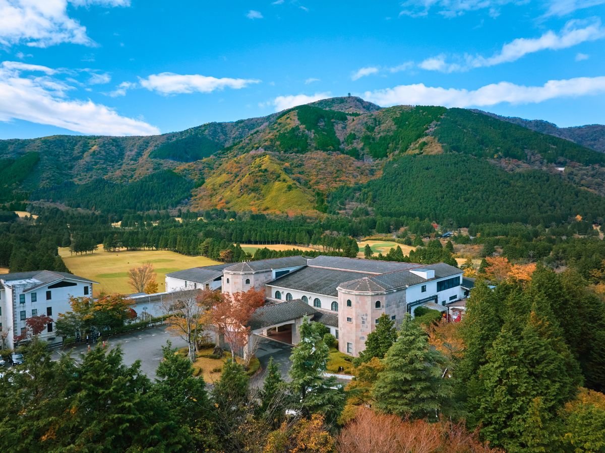 yzeOρzÏ̂悤ȌzŁA܂Ŕpق̒ŕ炷悤Ȃ؍݂B