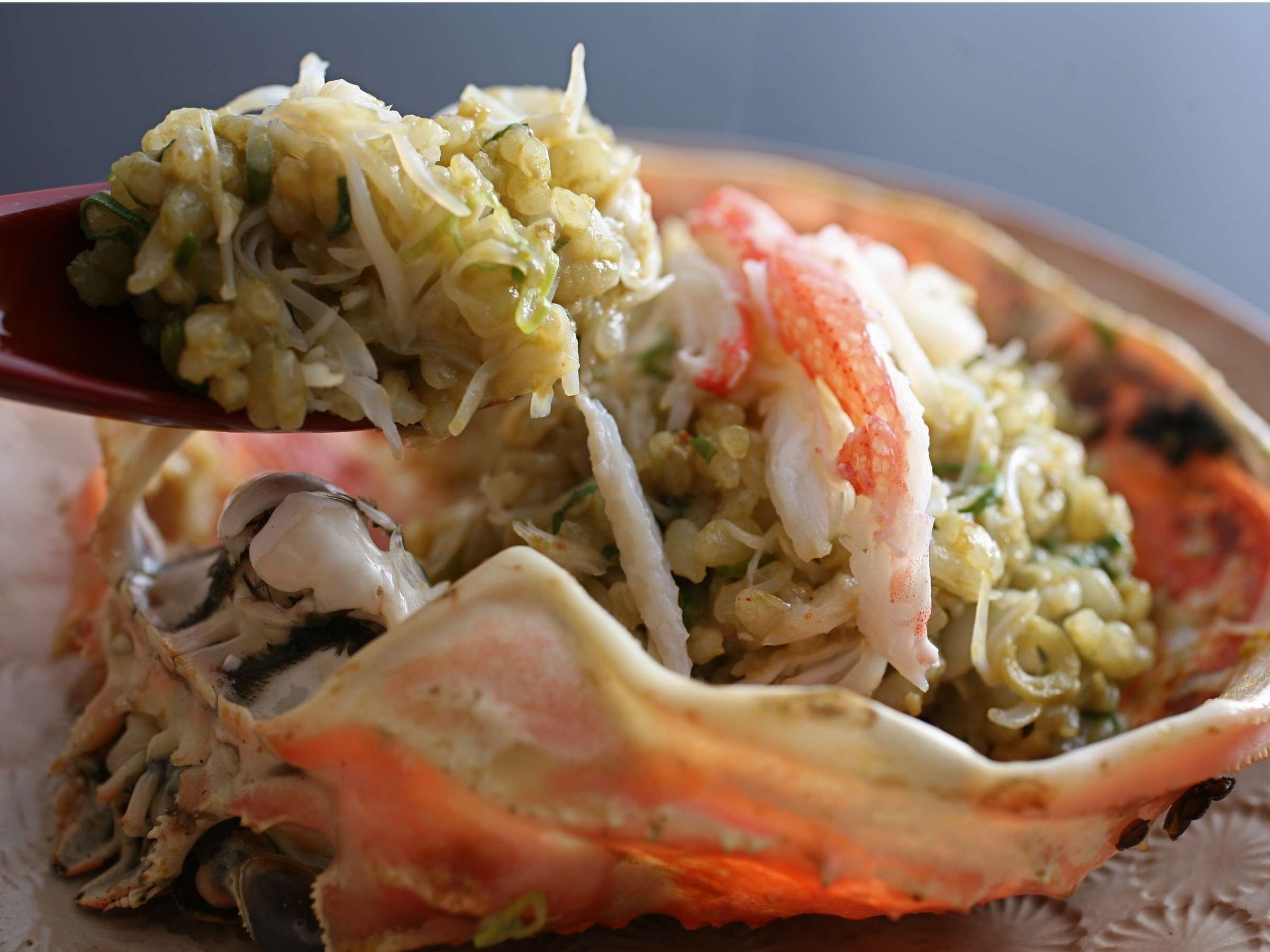 yJj݂сzKjR[XґuJj݂сv