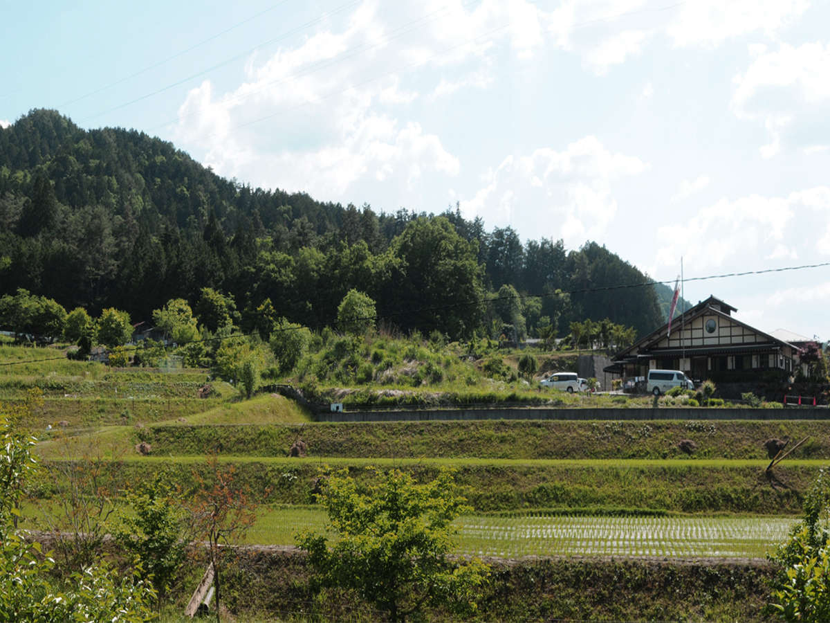 LȎR̃PnBcC[̌iρBTwin room's have the view of rich nature.