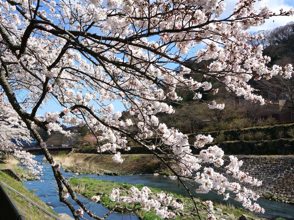 �y���z��Ό��̎��ӂɂ́A���̖������������񂠂�܂��B�i�{���̍��j