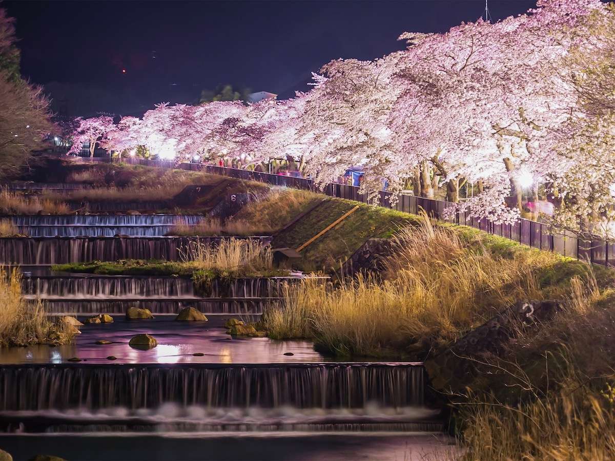 ��̗���ɉf����f����{���̍��i���C�g�A�b�v�j