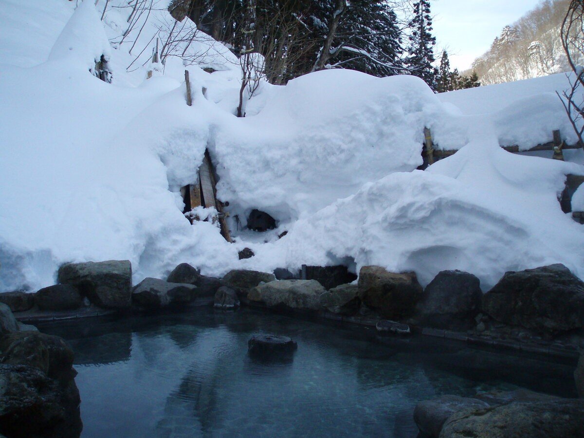 jIVCbጩ̘IV́Aiʊ܂B~̐ꌩ̉l܂B