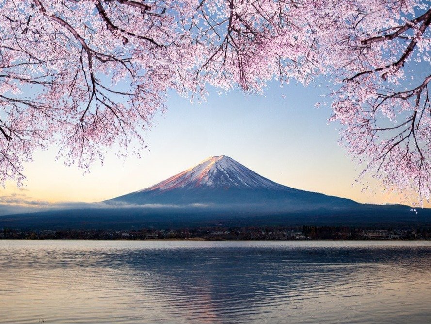 ���u�}�b�N�X���]�[�g�����x����3��13���Ƀ��u�����h�I�[�v���I