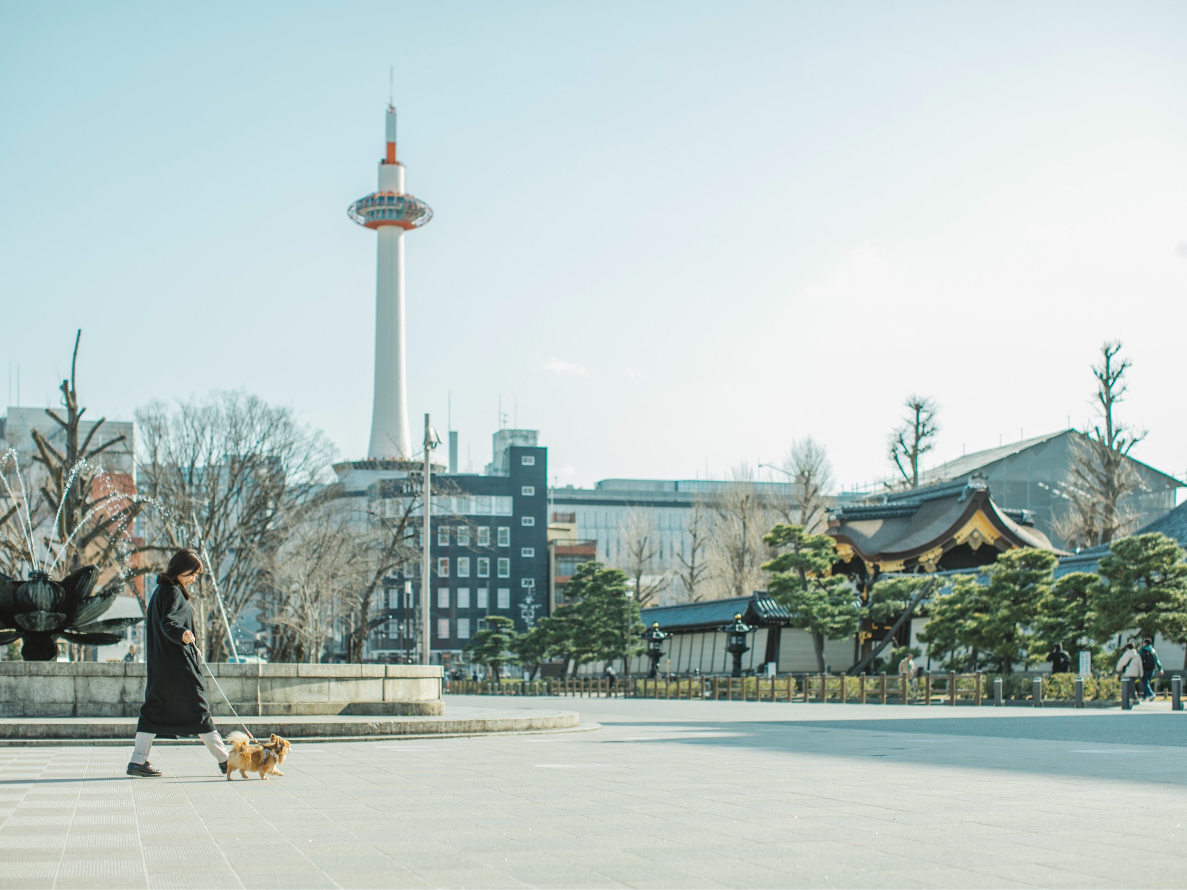 ��񂿂��Ƃ��U��