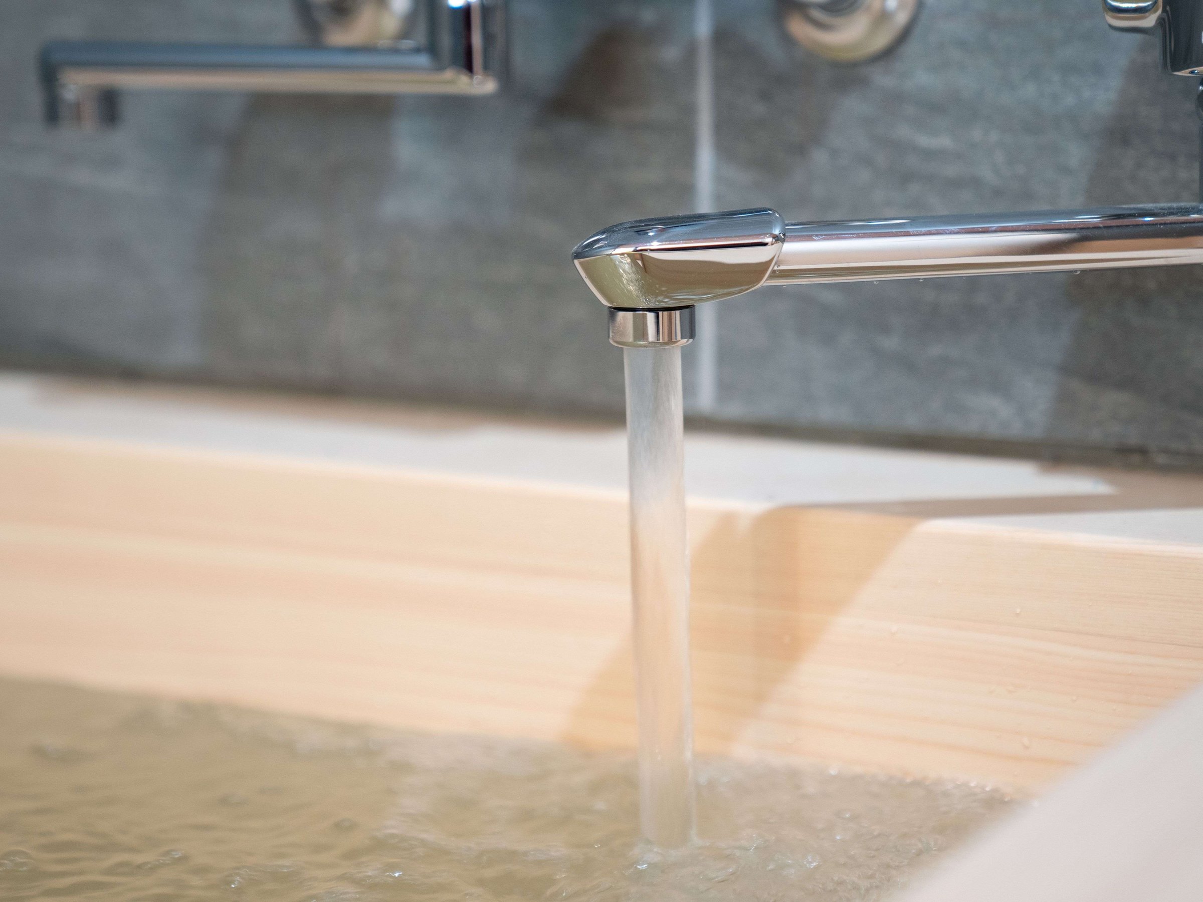 天然アルカリ温泉