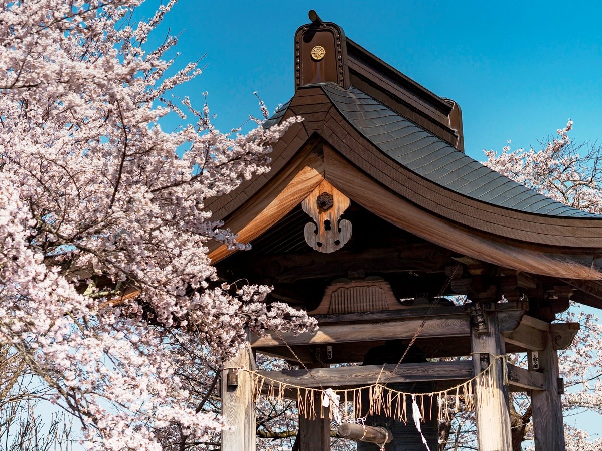 ��ߓa�̏��@��