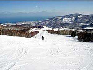 �y�����쉷��X�L�[��z�t�@�~���[����㋉�҂܂Ŋy���߂�ω��ɕx�񂾃Q�����f