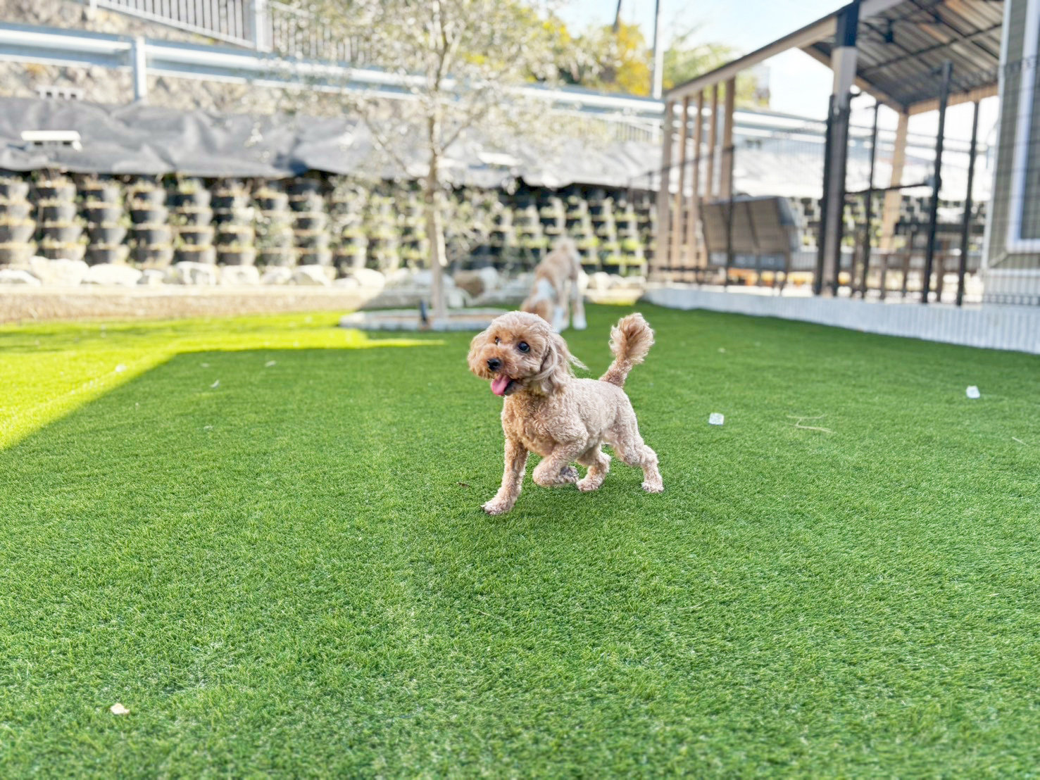 �h�b�O����