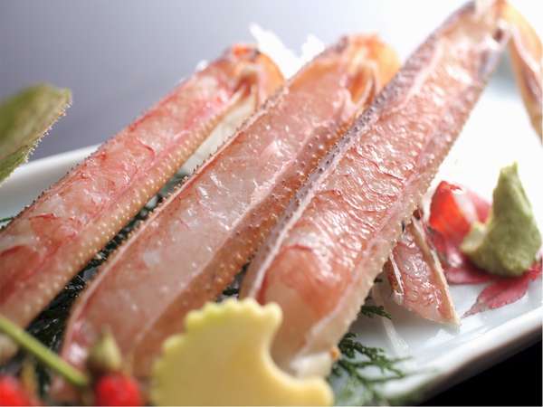 ܂ĂՂՂA񂫂̃Jjh͐ił