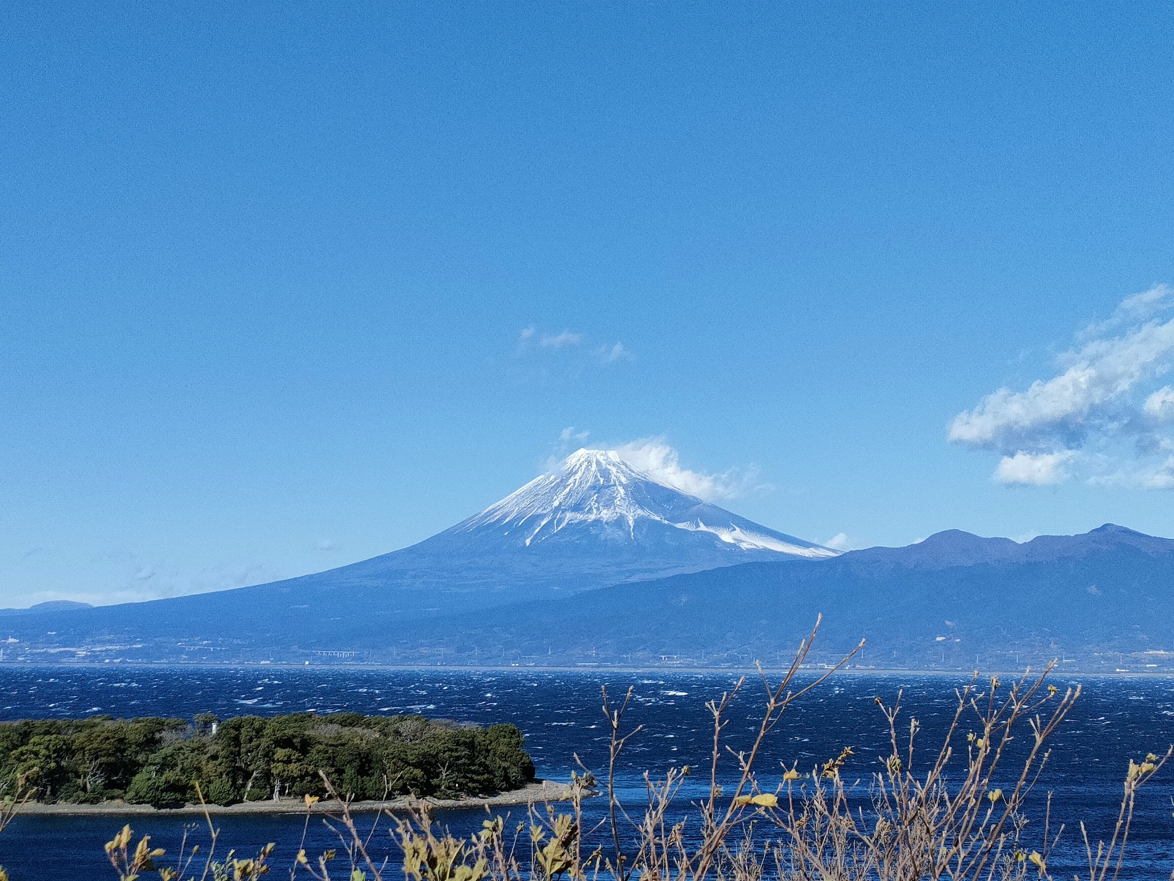 ���ق���Ԃ�3���قǂ̌��������̓W�]�䂩��̕x�m�R