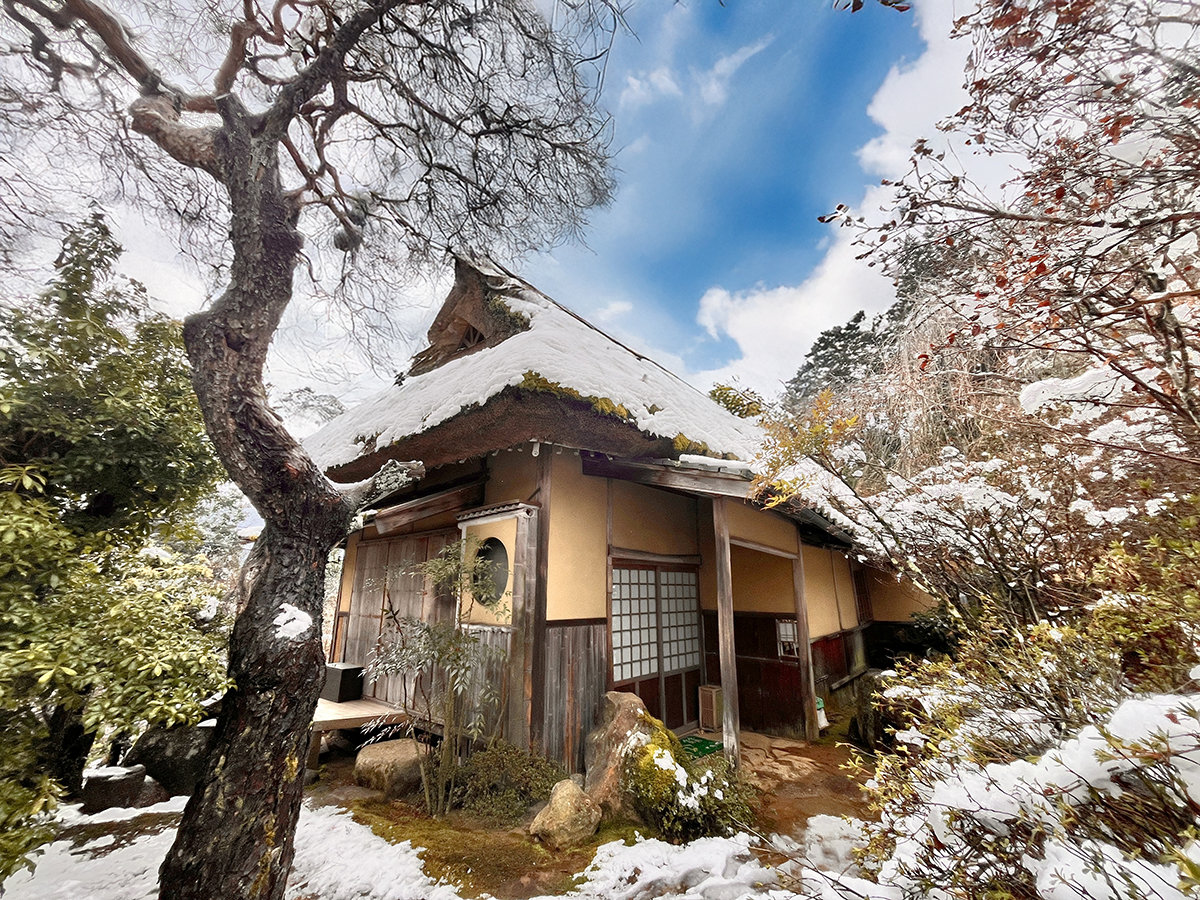 ���y�Ö��Ɨ���z ���̊� 