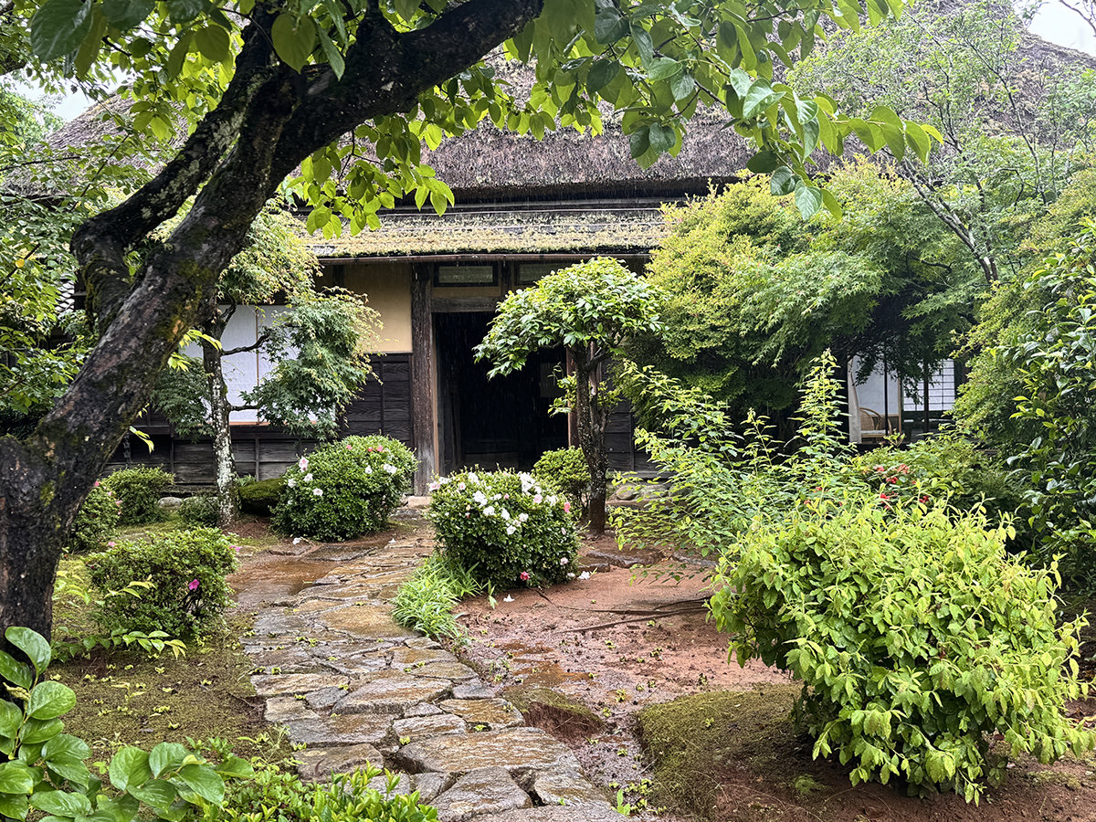 ���y�Ö��Ɨ���z �I�̊� 