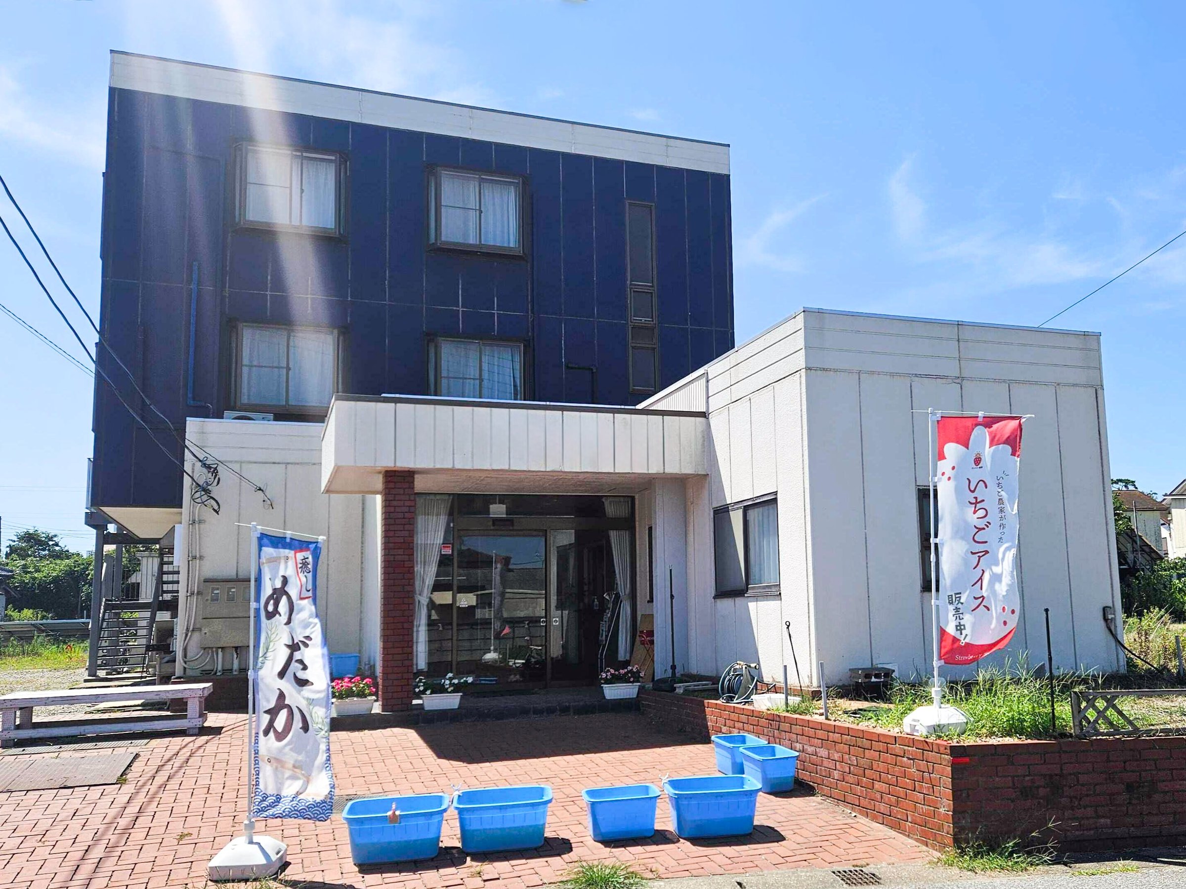 �߂��������������ꂩ���ĂĂ���A�������͎��Ɛ��A�C�X�ɂ��g���Ă��܂��B