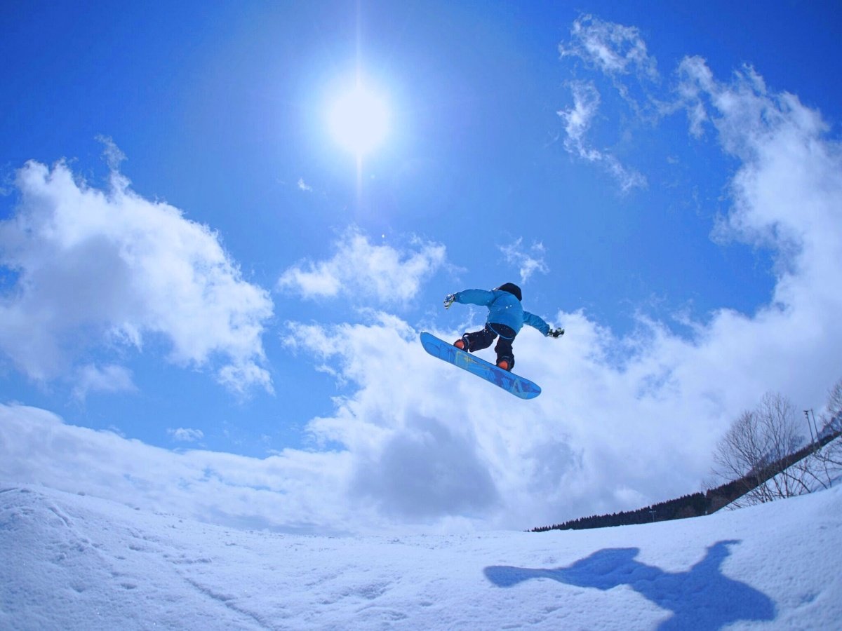 �e�탌���^������I�����������ŋC�y�ɃE�B���^�[�X�|�[�c����