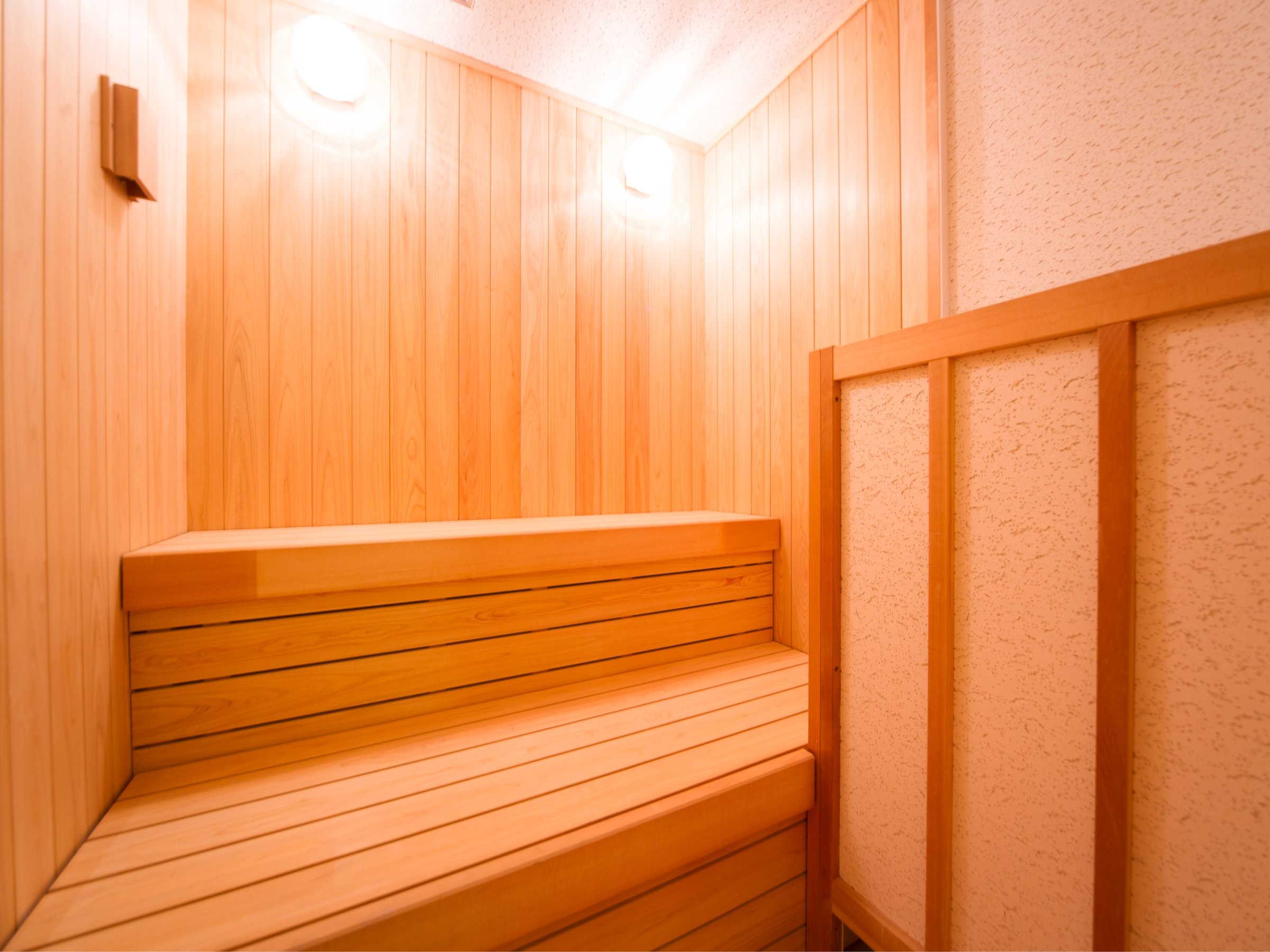 ���t���b�V�����[�������ԊO���T�E�i