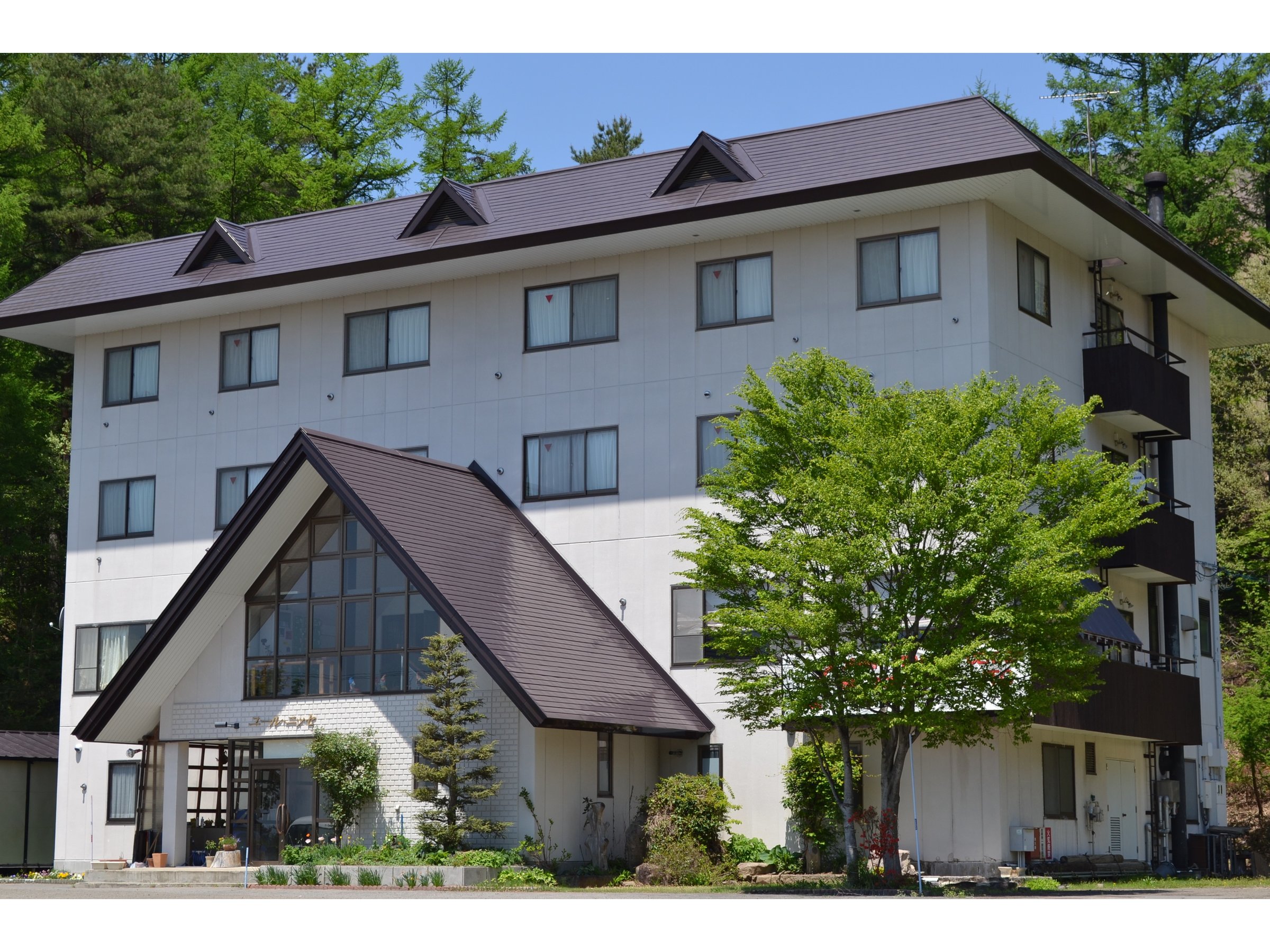 �z�e���O��