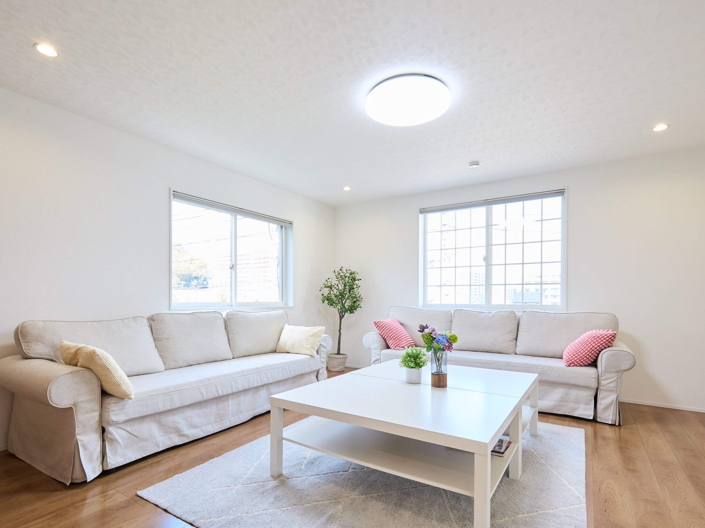 ���r���O