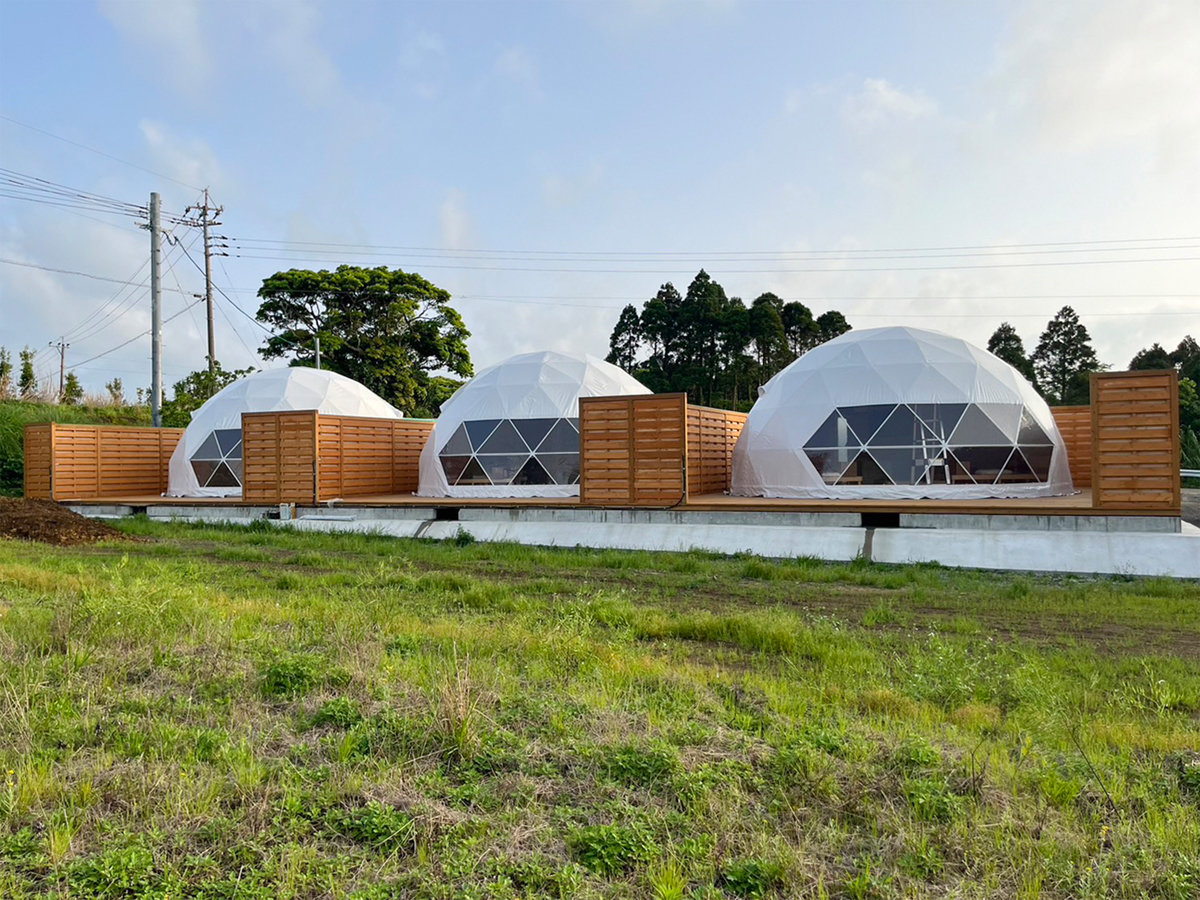 �E�y�h�[���e���g/�O�ρz���R�Ɉ͂܂ꂽ��Ԃ̒��Ŕ����̌������߂�����������