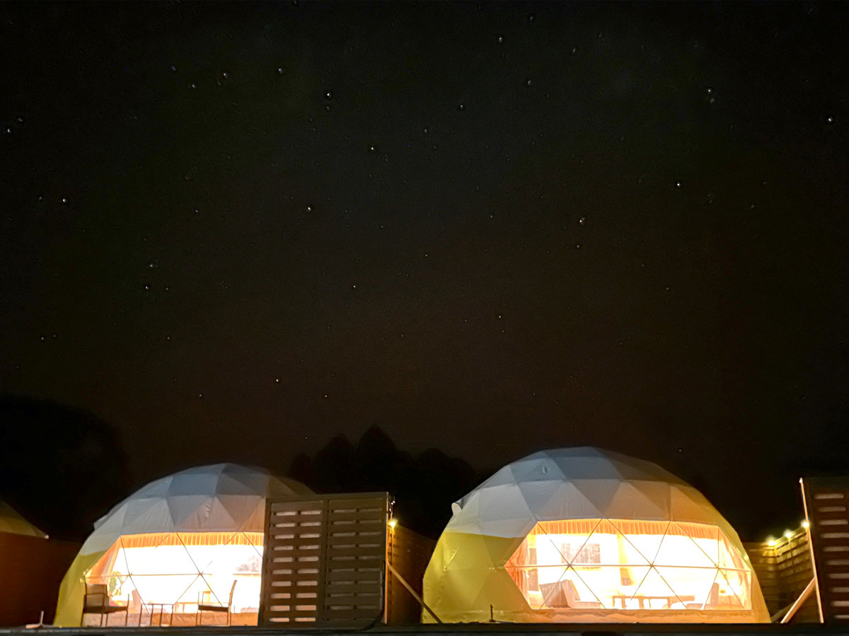 �E�y�h�[���e���g/�O�ρz���_�̐���̉������ґ�ȃO�����s���O�̌������߂�����������