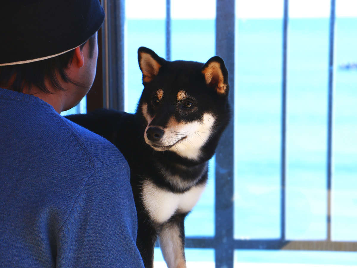 ��񂿂��ƈꏏ�ɂ������y�b�g����OK�v����