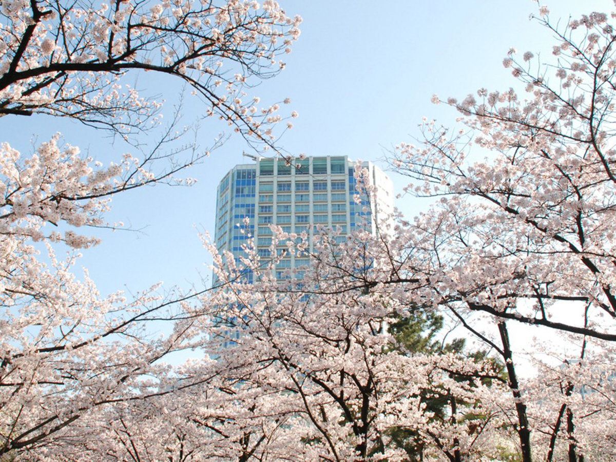 �z�e���O�ρi���V�[�Y���j