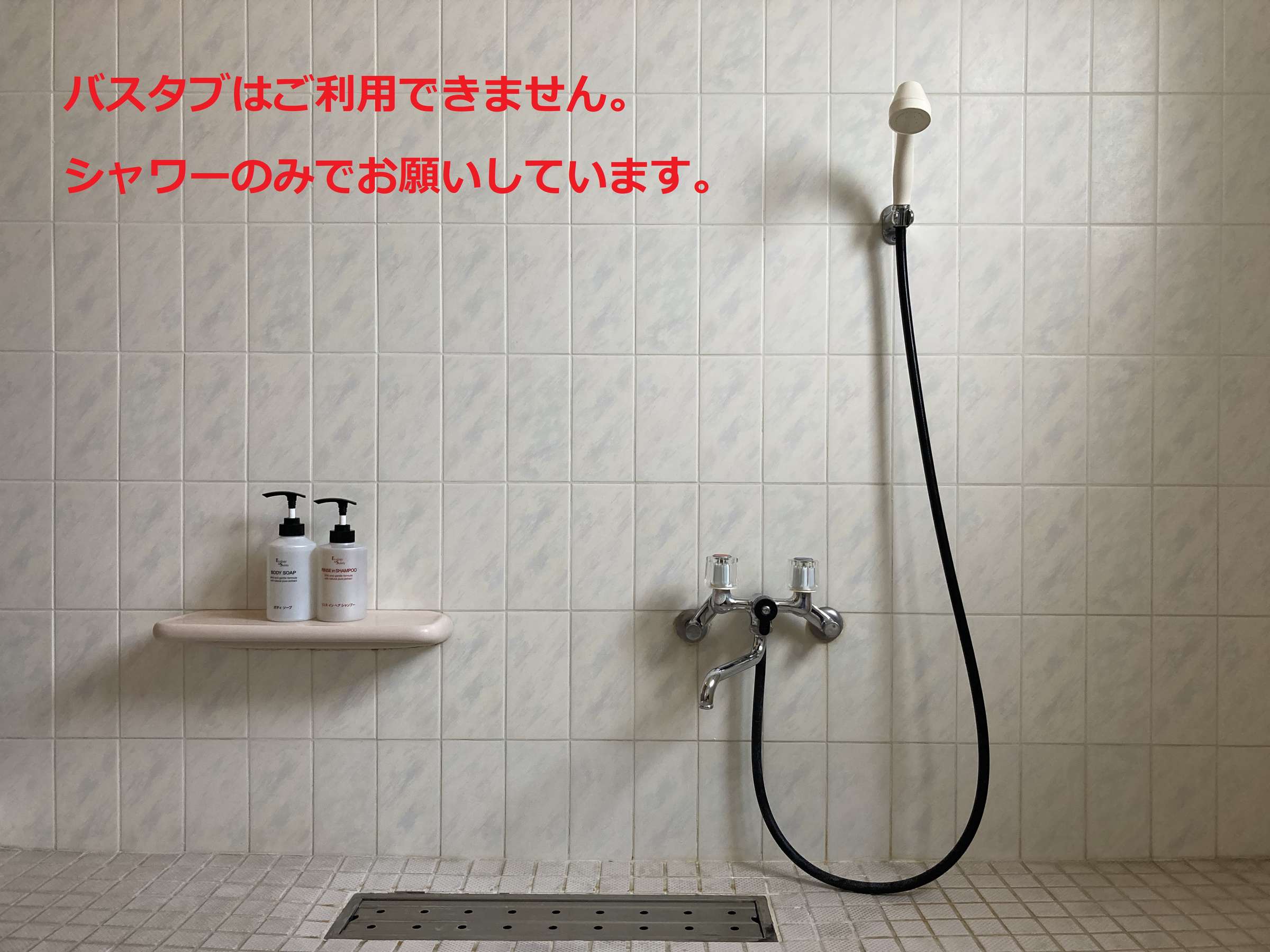 �V�����[