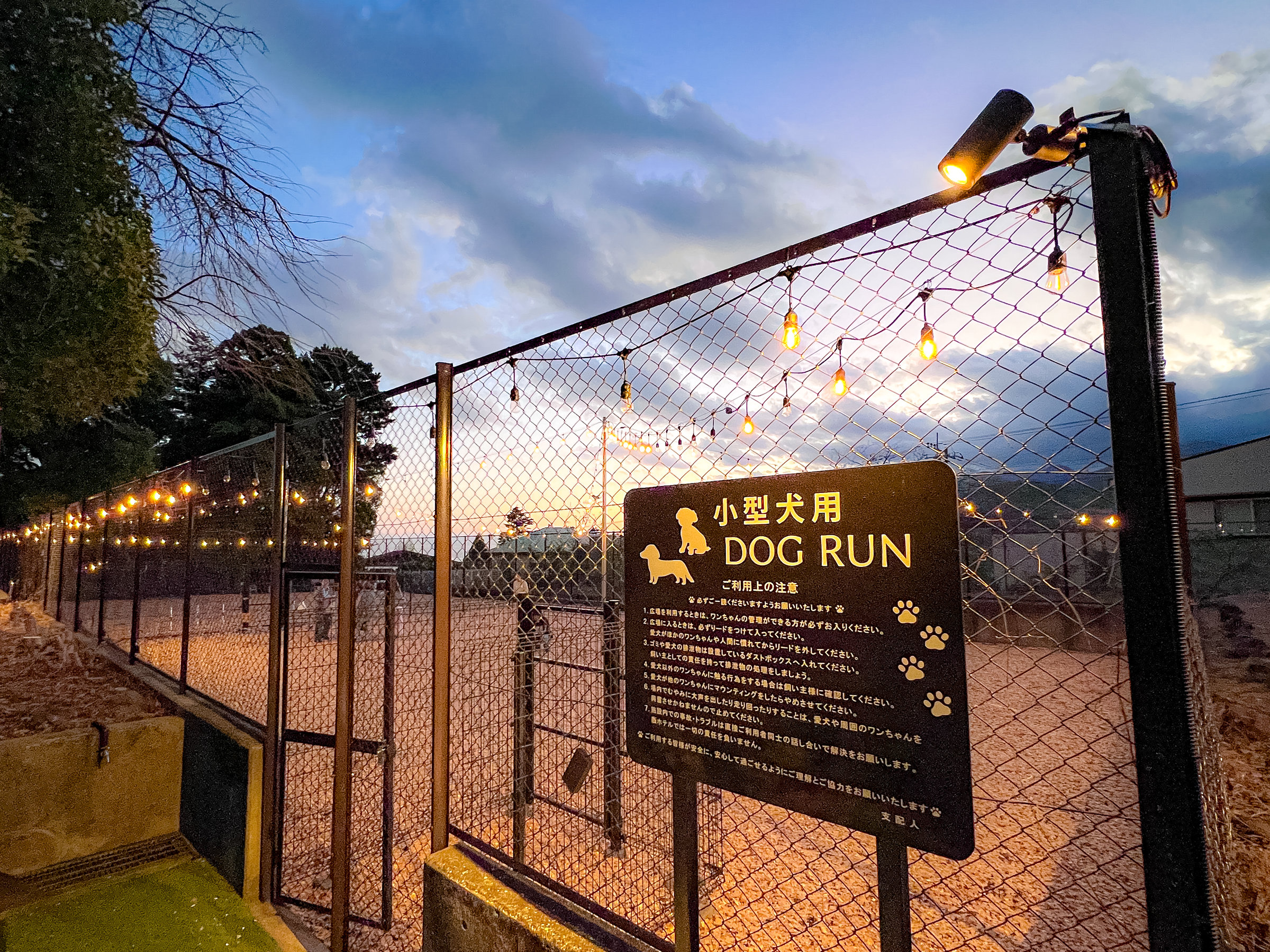 【ドッグランは夜まで開放中】テニスコート1面ほどの広々ドッグランをお楽しみください