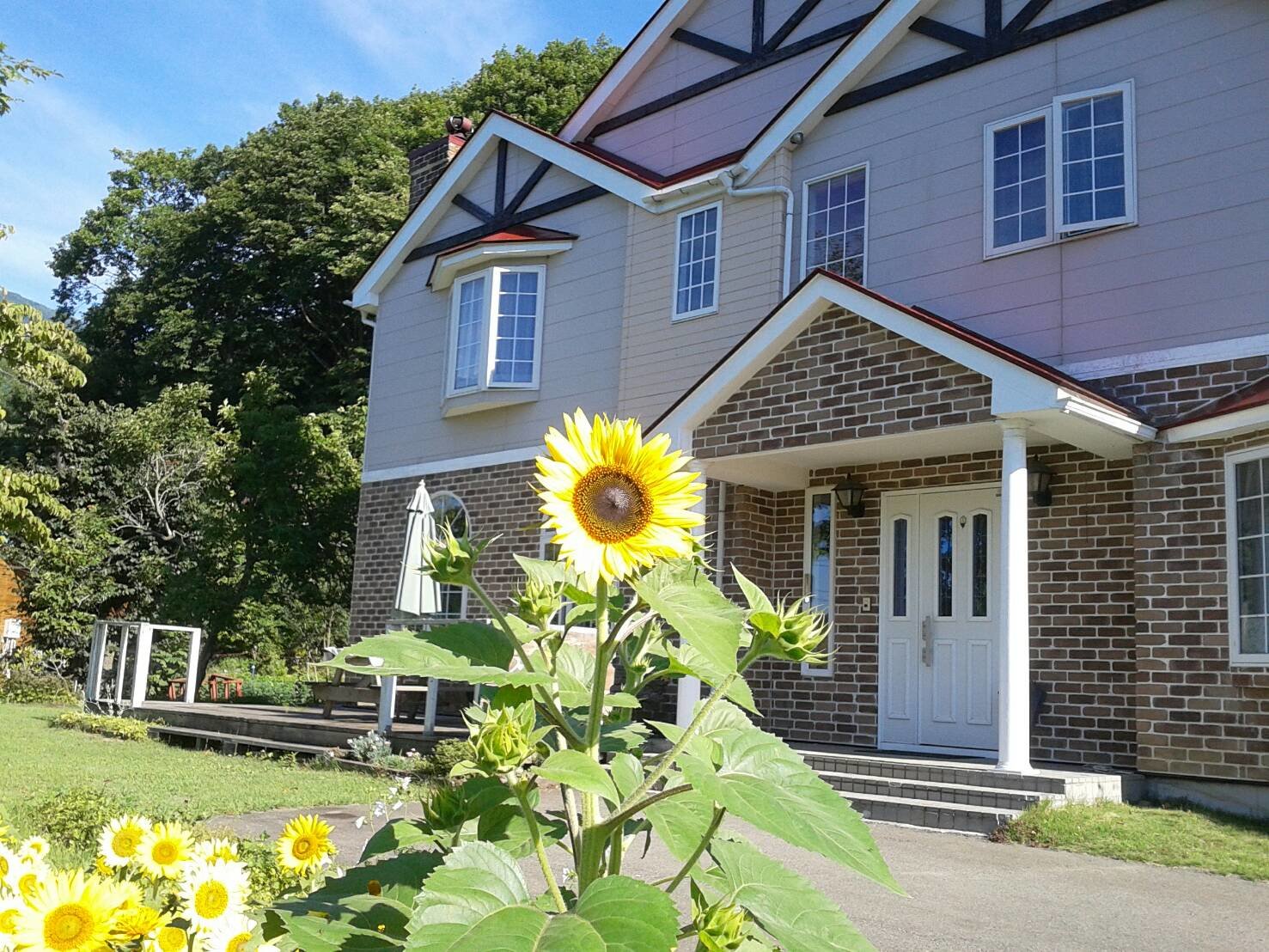 ���O�ώʐ^�@�Ђ܂��