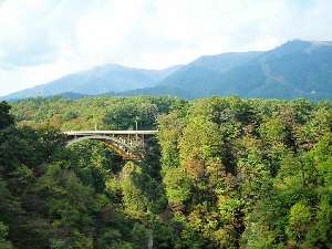 �V�΂̖q��