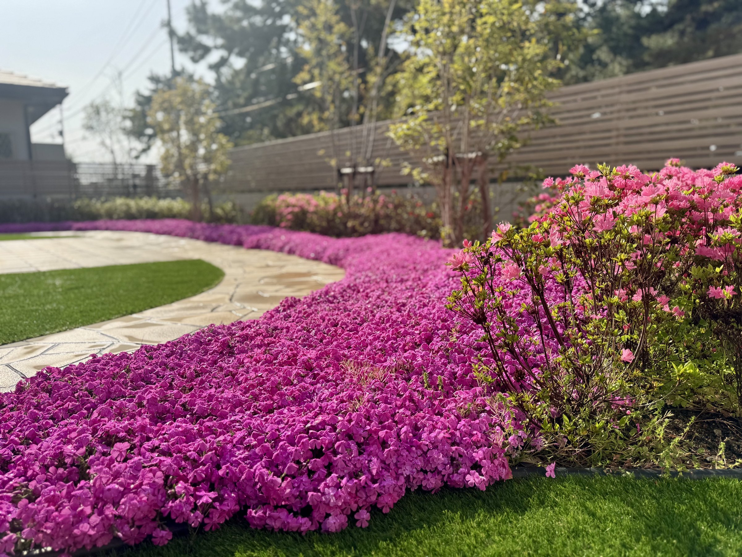 ��ɂ͎ō��ƃc�c�W�A���؍ҁA�V�}�g�l���R���̐A�͂�����A�A�E�g�h�A�p�̊��ƈ֎q������܂��B