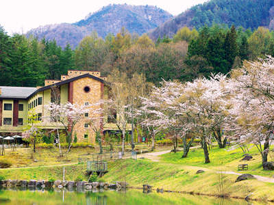 �t�̋������