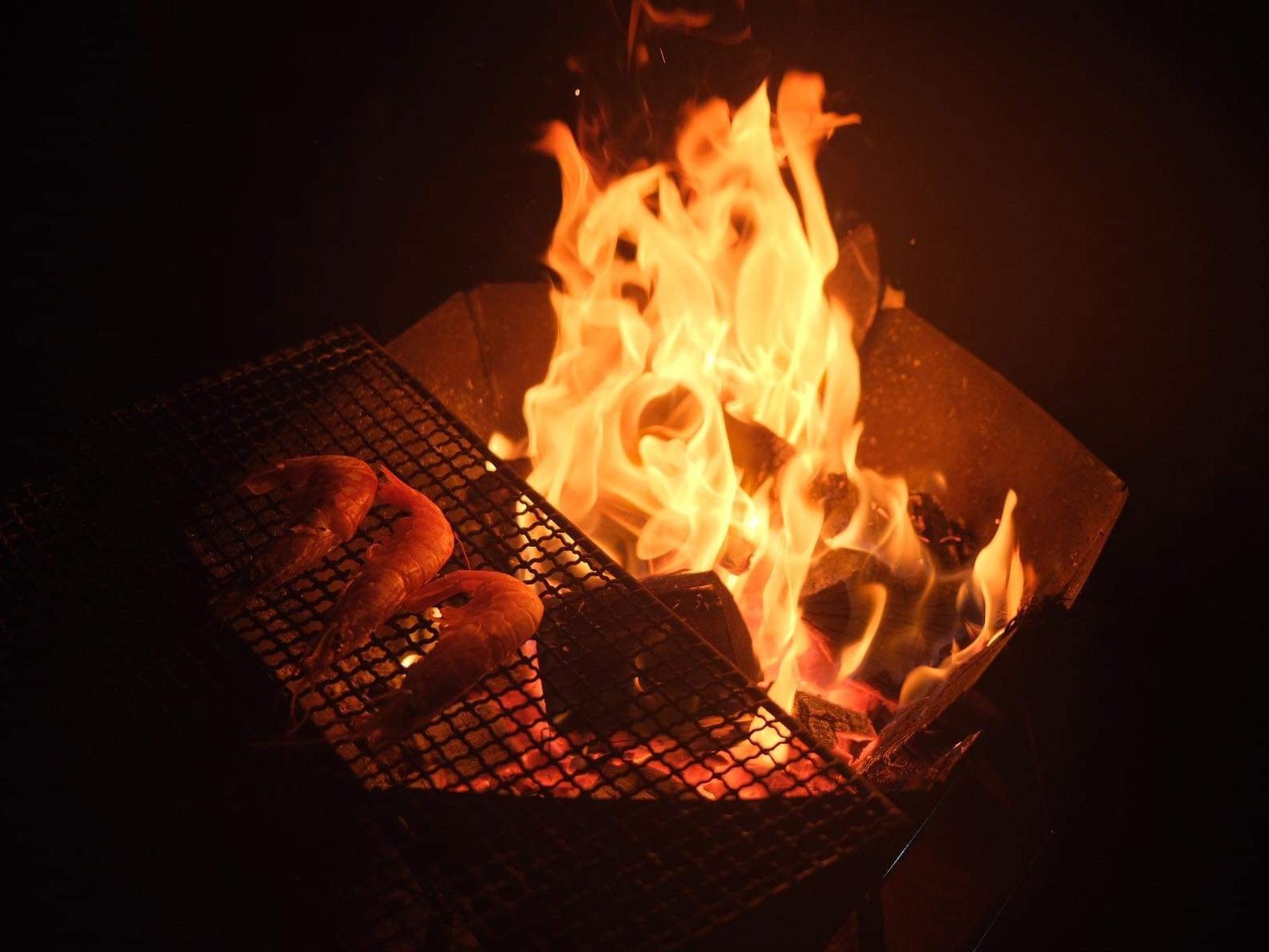 BQQ���y����ł��܂��B