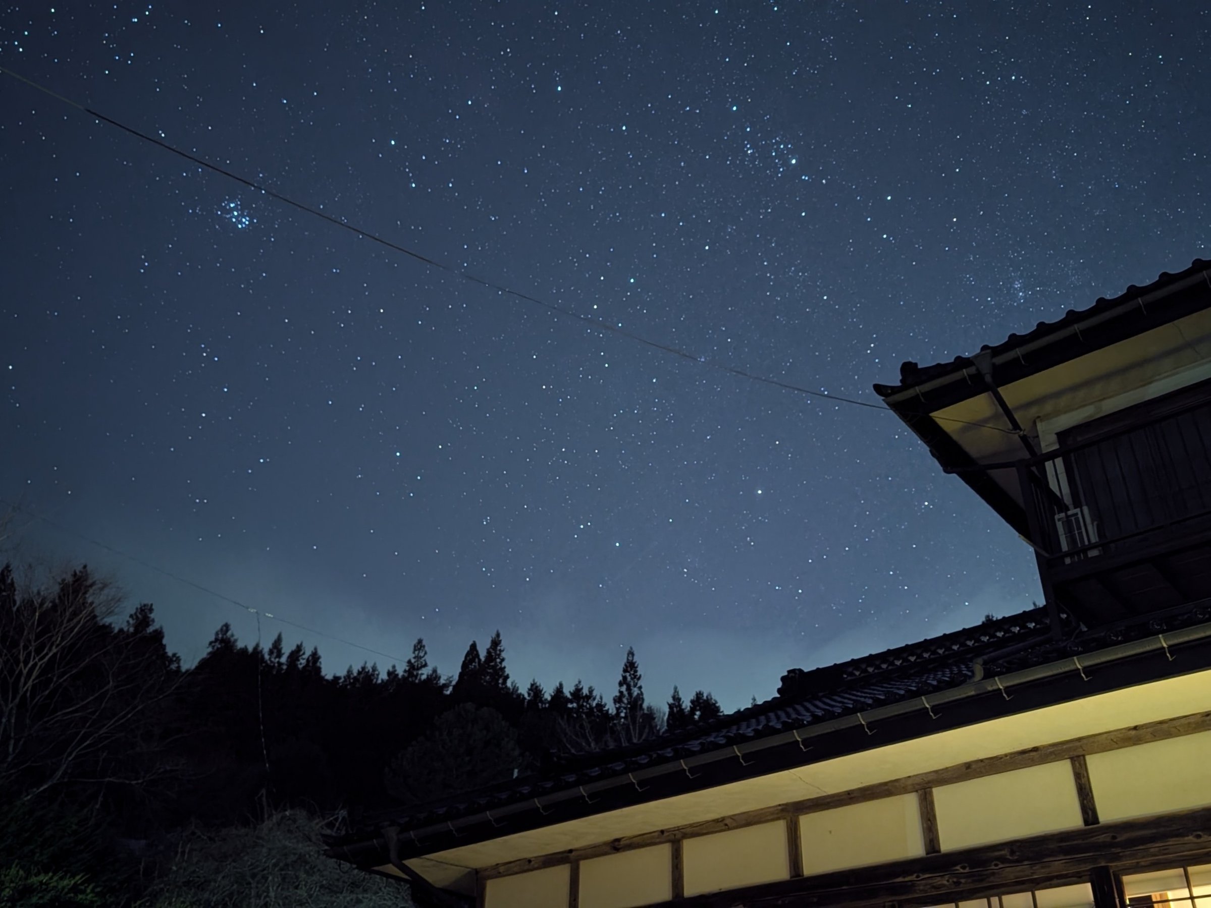 lien����A���V�̐���