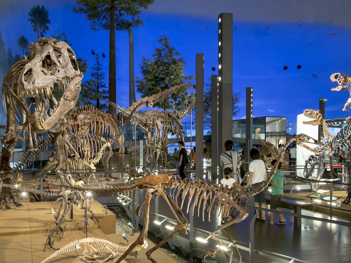 ���䌧������������