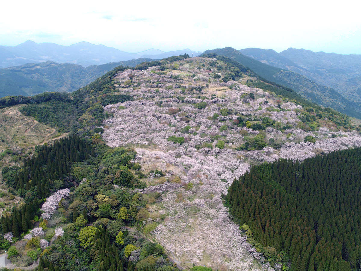 �ԗ������@�ꖜ�{�̍��B������͗�N3�����{����4����{�ł�