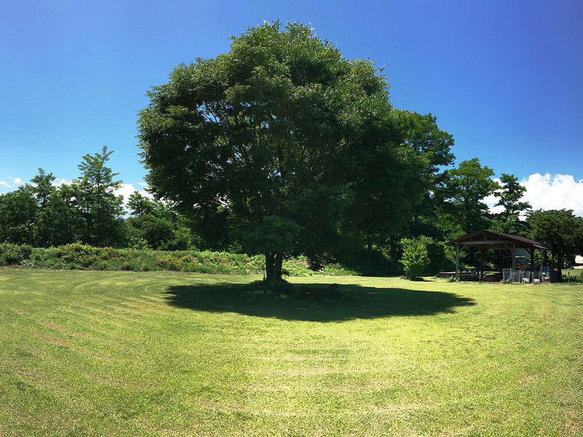 ���y�{�݁z���T�a�̂Ђ�т�I�L�����v��B�O�Ŏv��������̂𓮂�������