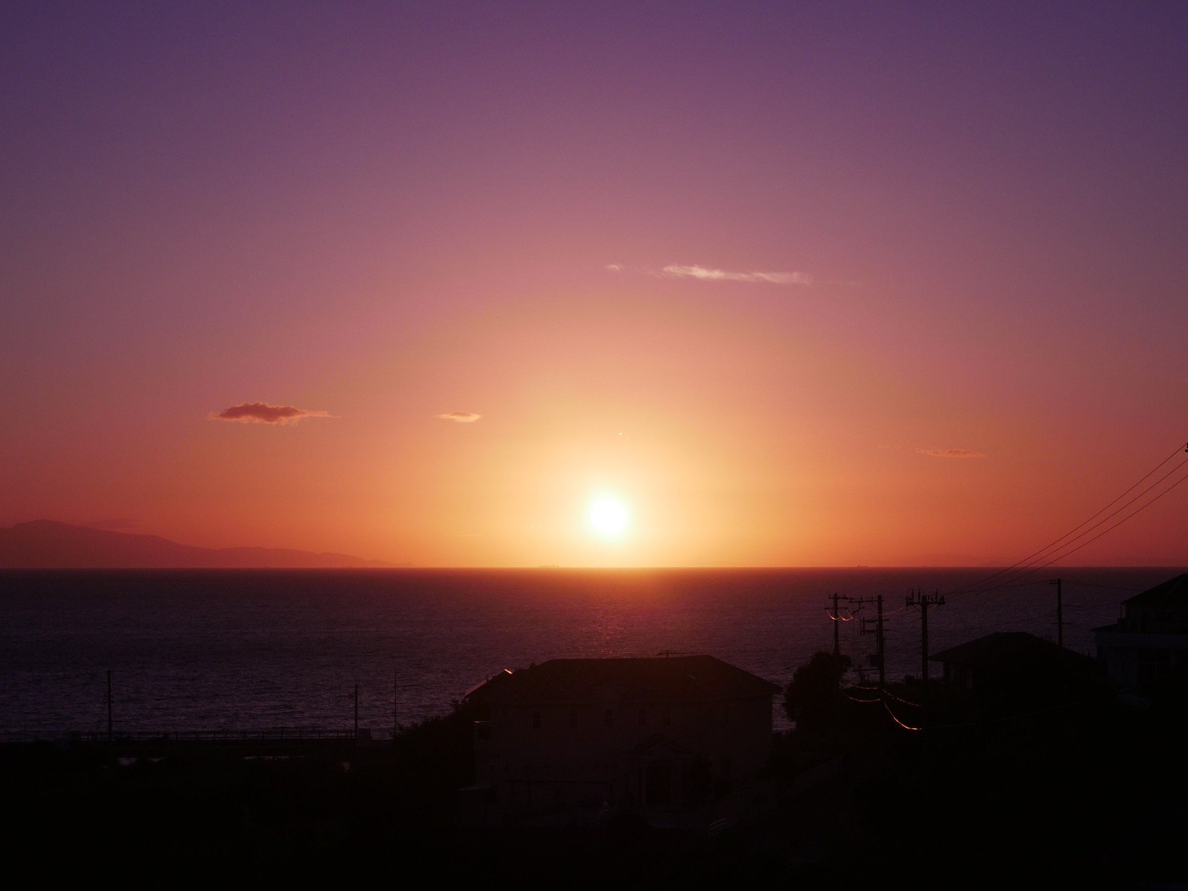 �o���R�j�[�@�[��