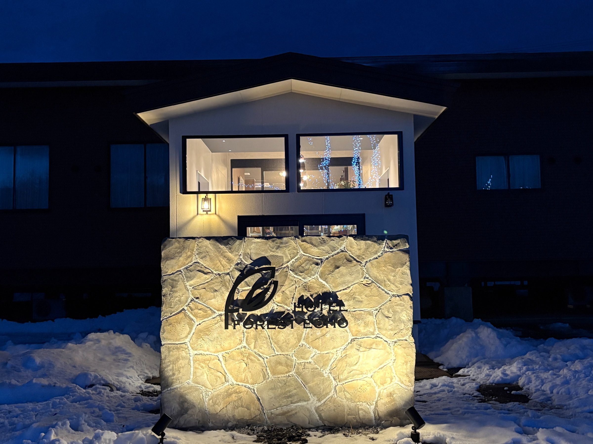 ���ʓ����