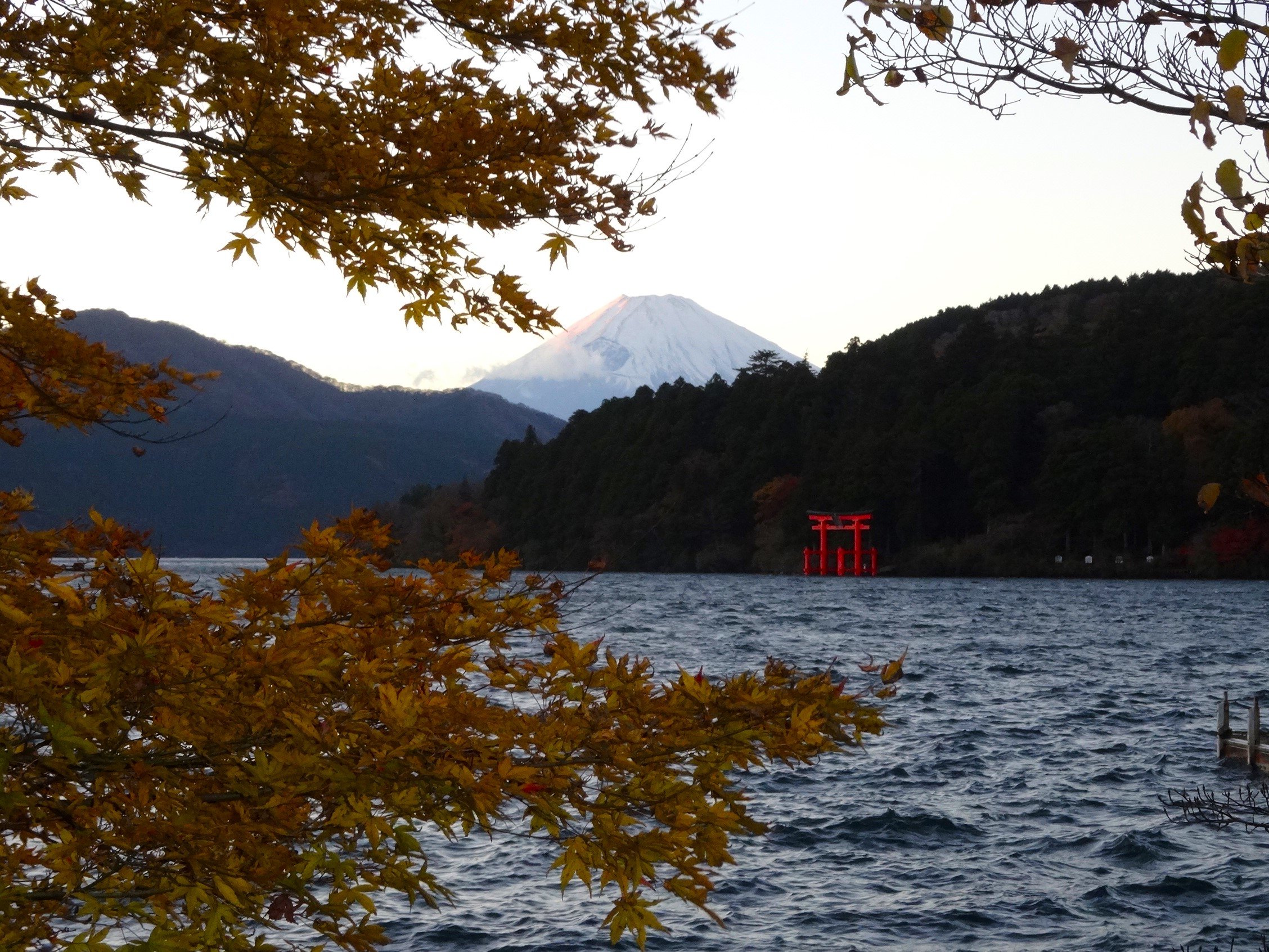 �x�m�R�ƈ��m��