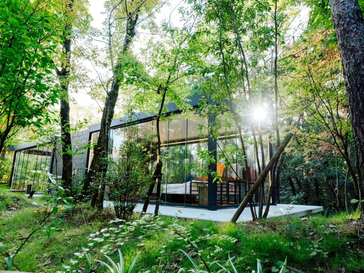 �X�ɕ����ԁu���̔��v�B�l���K���X����̔�����ԂŁA���R�ƈ�̂ɂȂ����ʂȂ������ł��B