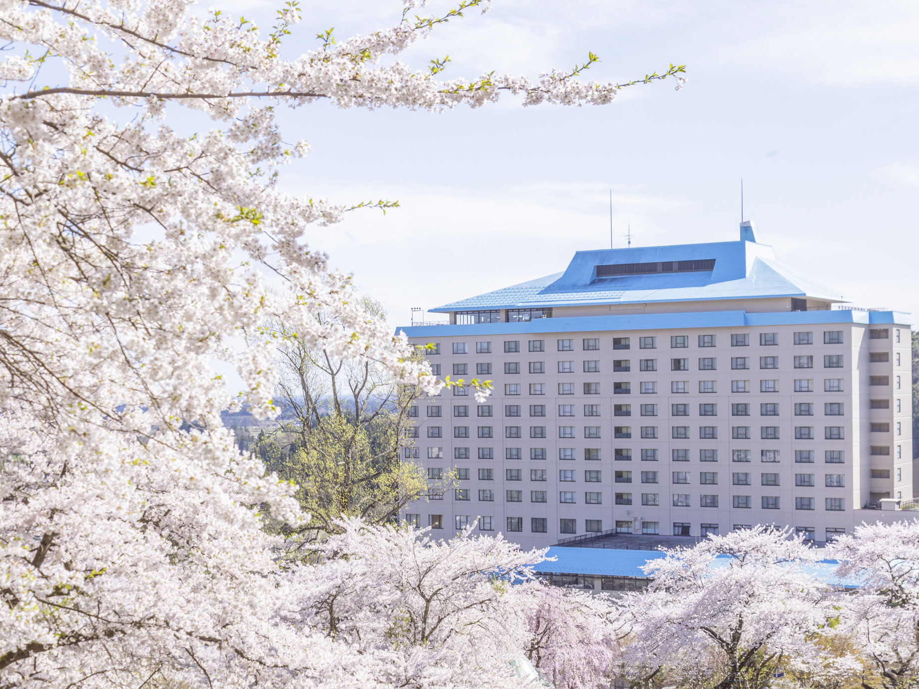 ��l����r�W�l�X���p�A�Ƒ���O���[�v���s�ȂǗl�X�ȗ��̃X�^�C����������L�x�ȕ����^�C�v�����́B