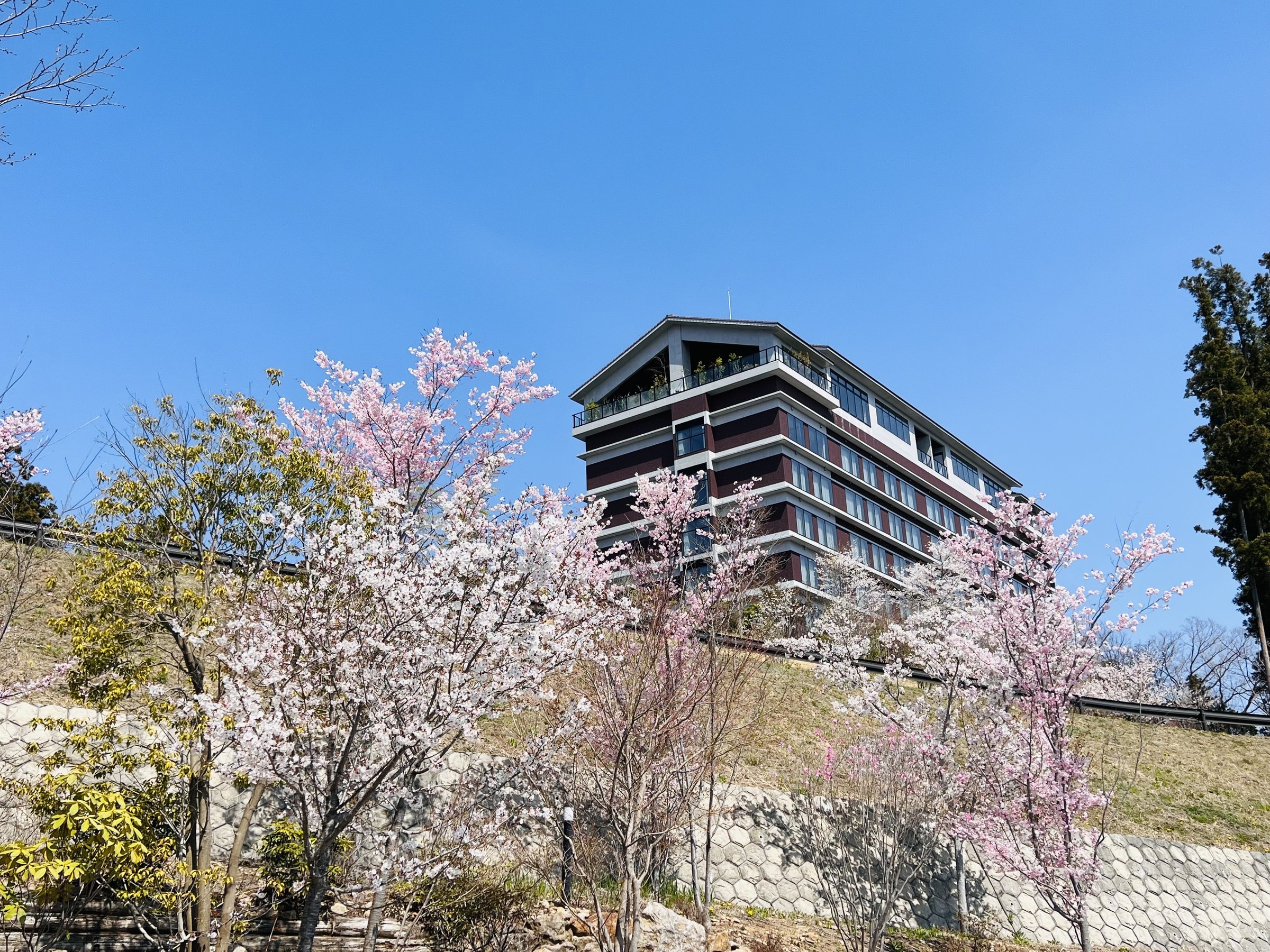 �y�O�ρz�~�n���ɂ�26��ނ̍����炫�܂��B