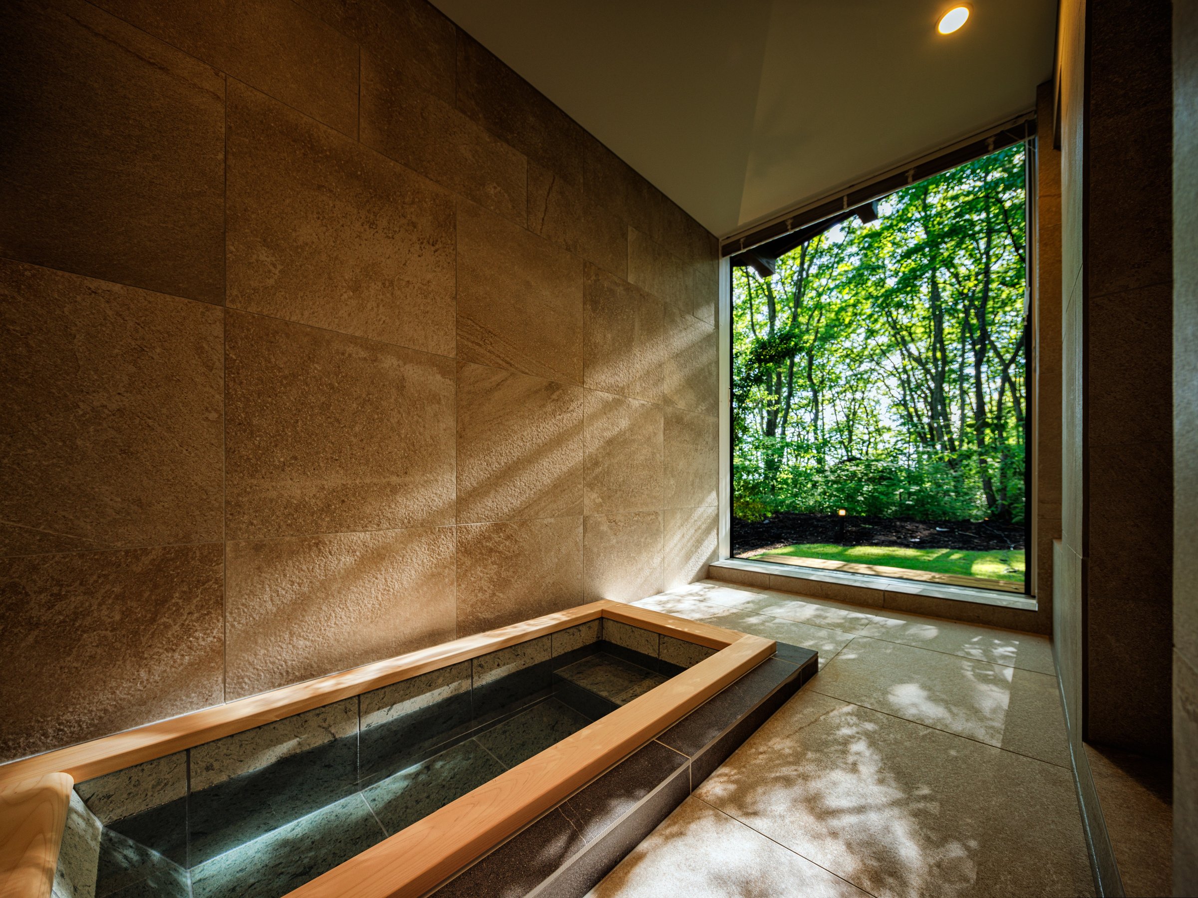 Elm���@����