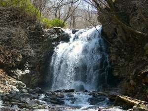 ����ԑ�ꇁ�Ȃ�ƂȂ��ق��Ƃ���ꏊ�B���I�s��������ĂS�O���B�ԂłT��