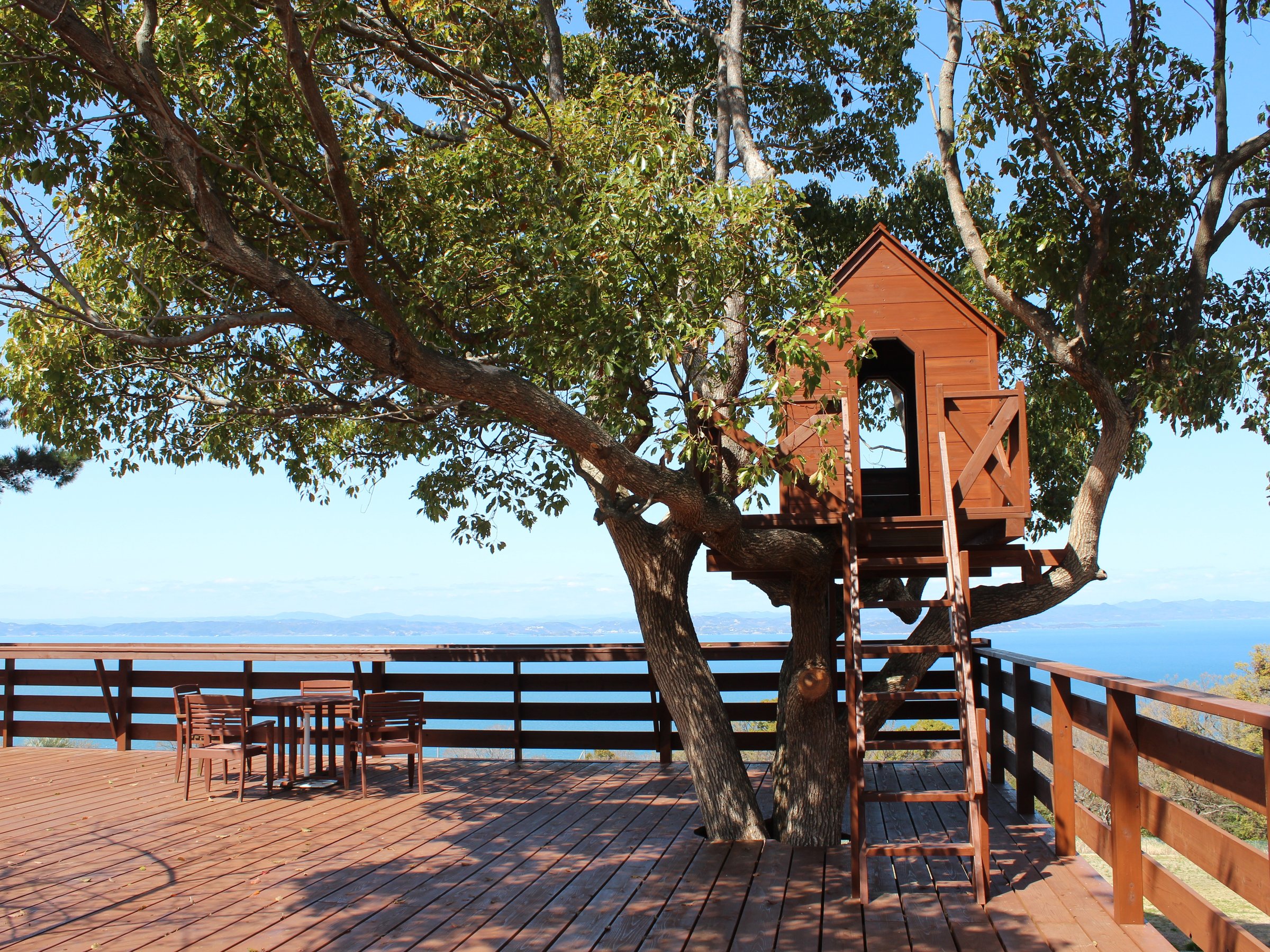 �c���[�n�E�X